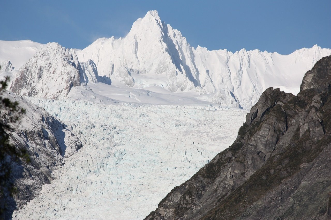 Fox Glacier: Half Day Walking & Nature Tour with Local Guide