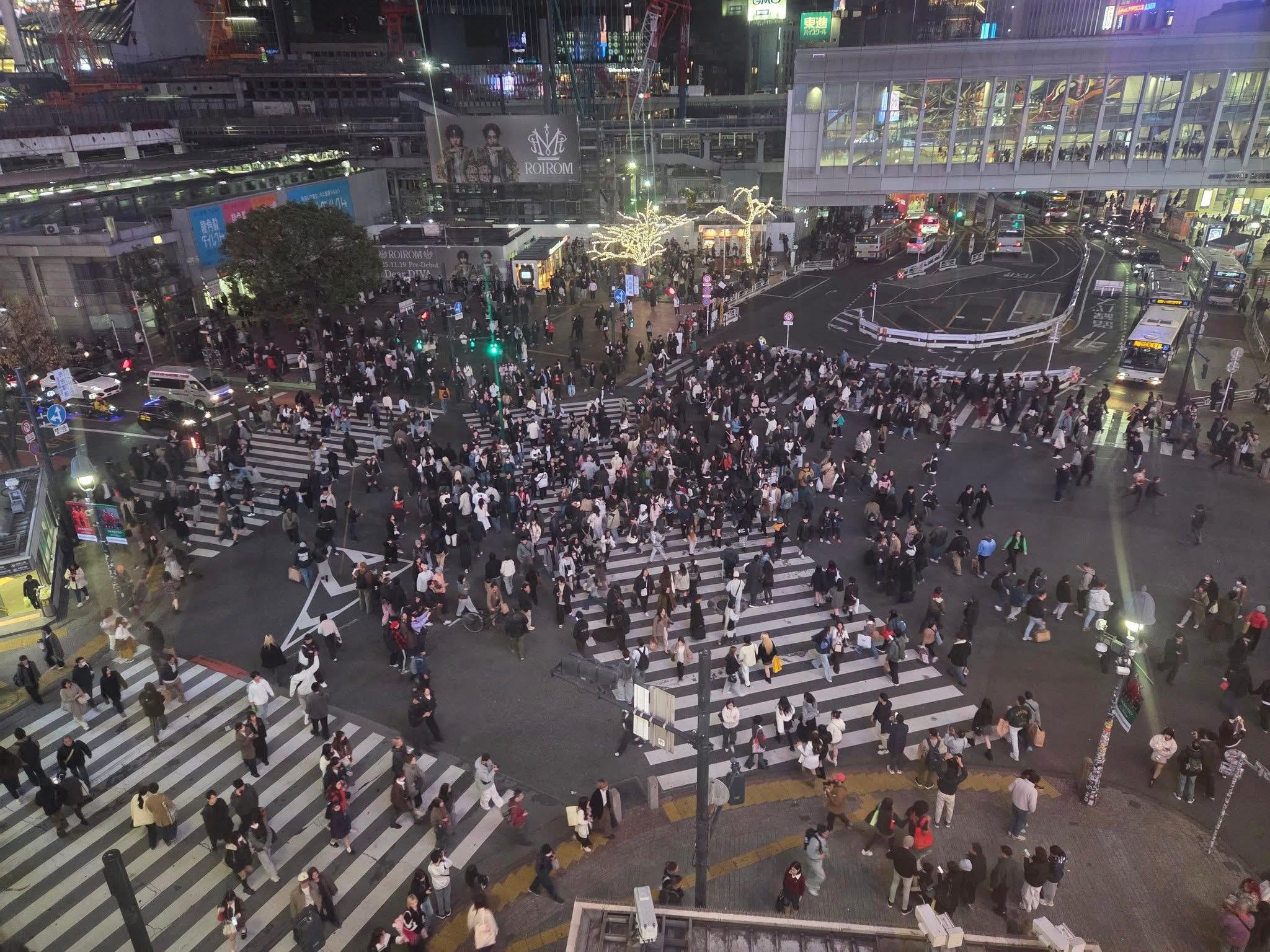 Tokyo Private Full-Day City Tour — Custom Itinerary with English Guide