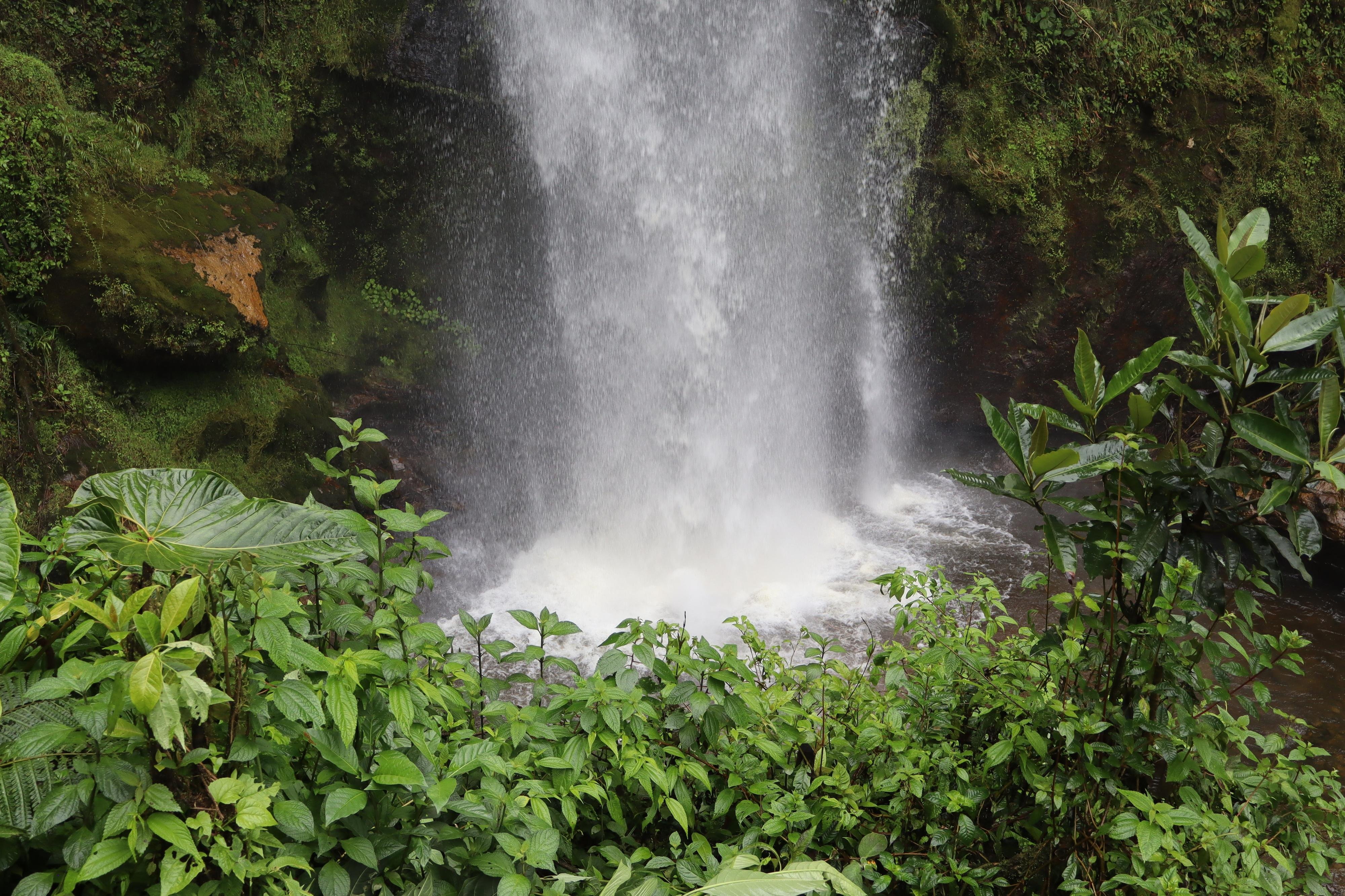 La Chorrera & El Chiflón Waterfall Hike from Bogotá