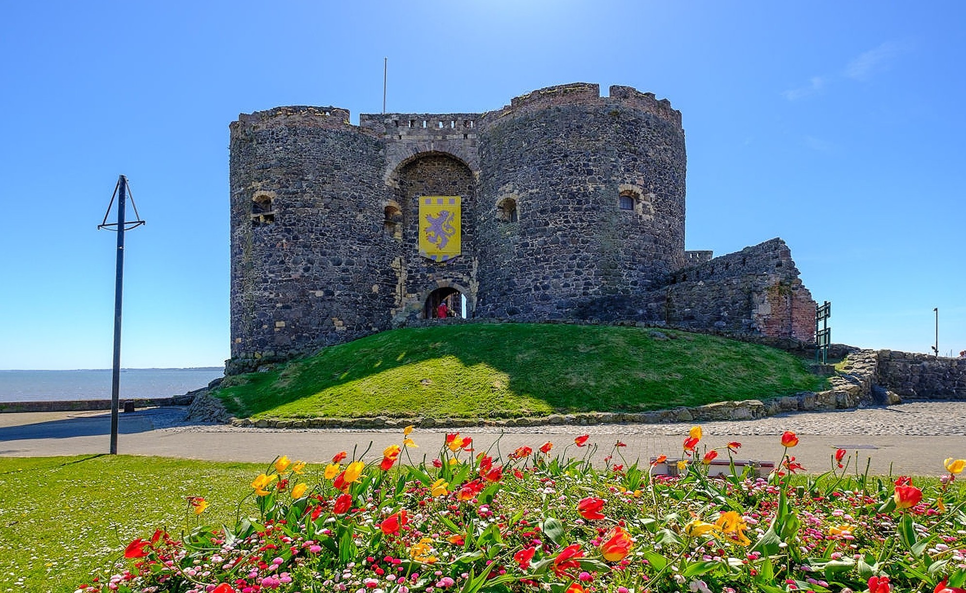 From Belfast: Giant's Causeway Guided Day Tour With Castles