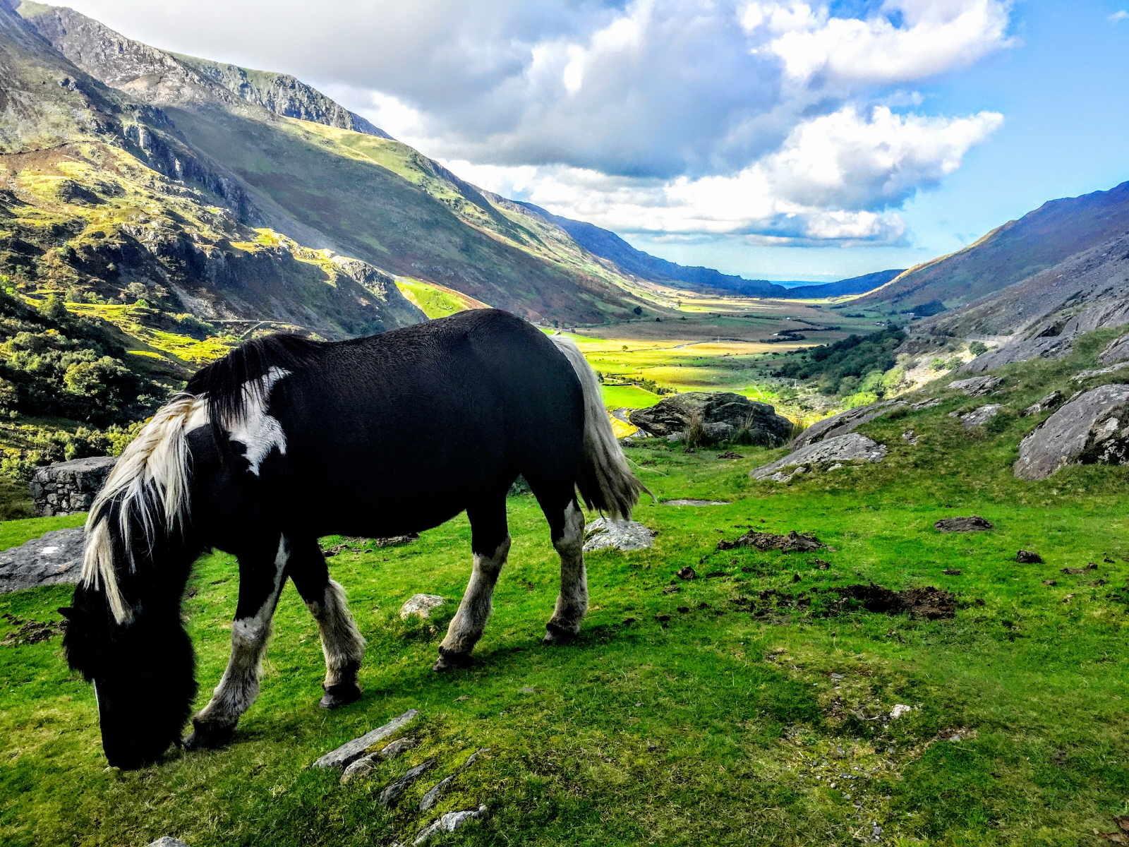 North Wales Day Tour from Manchester