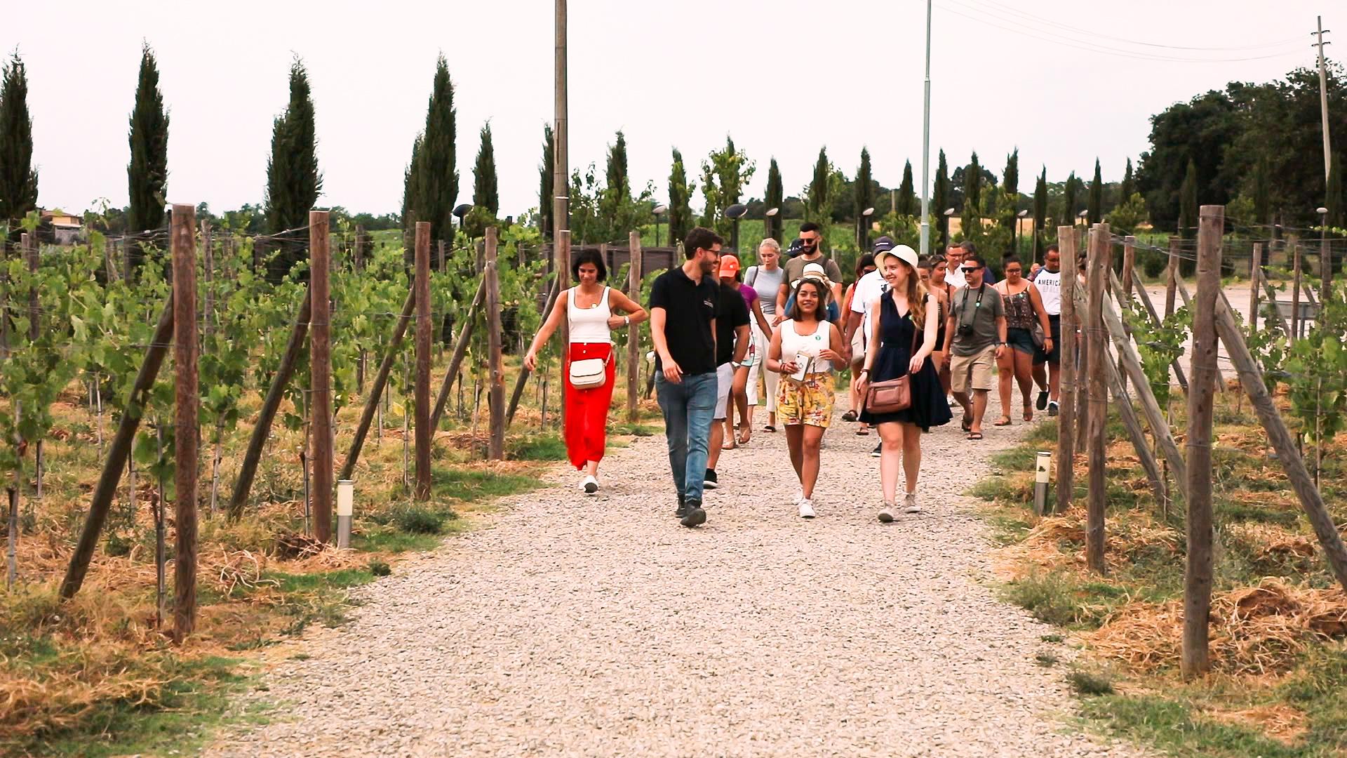 wine tour in Chianti — photo 4