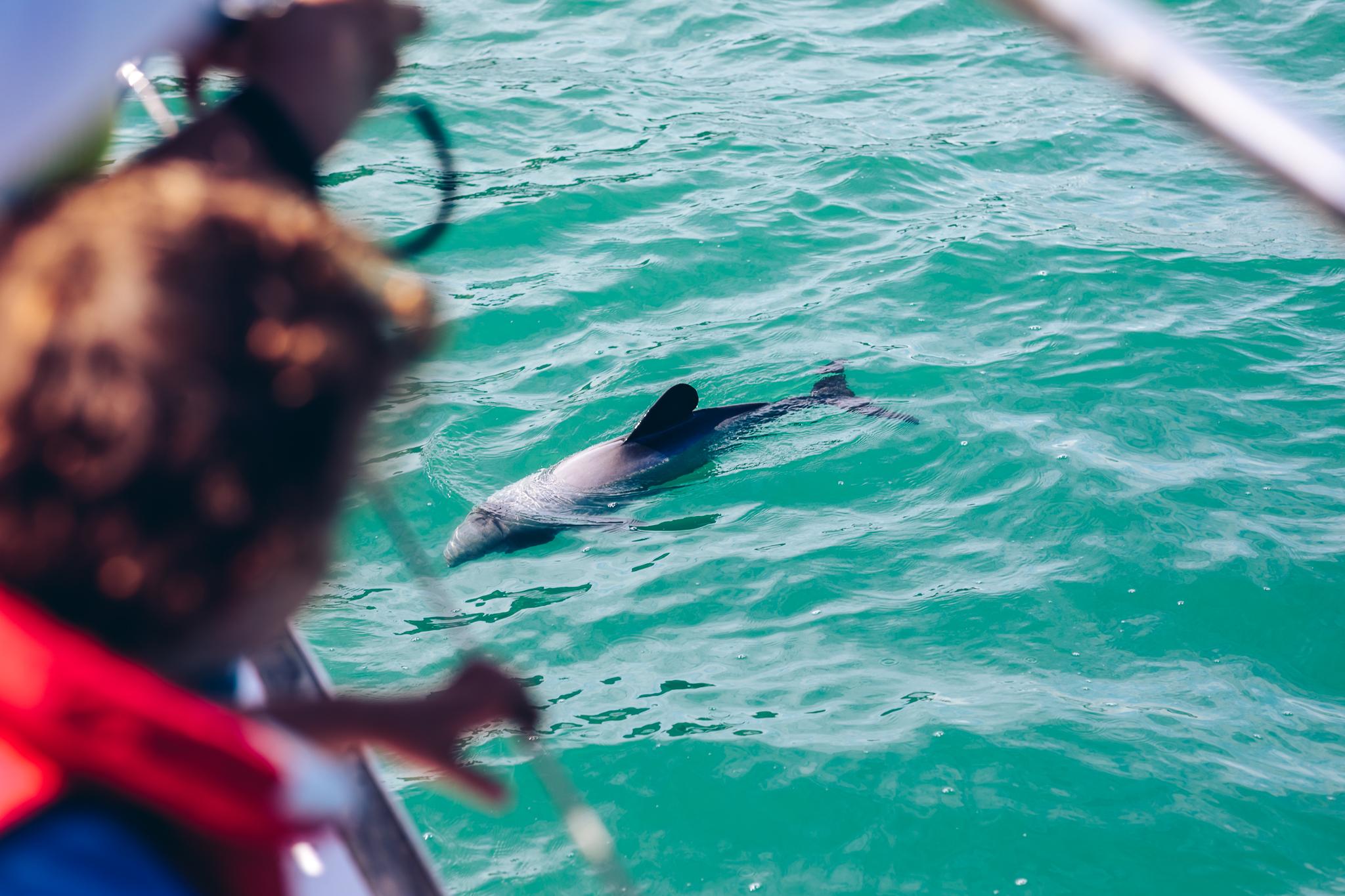 South Island tour photo — image 20