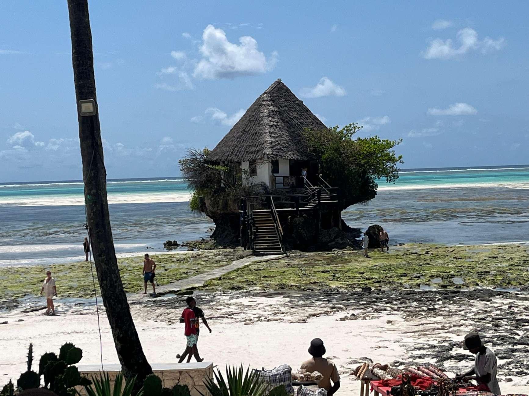 Zanzibar: Jozani Forest, Butterfly Centre & Rock Restaurant Day Tour