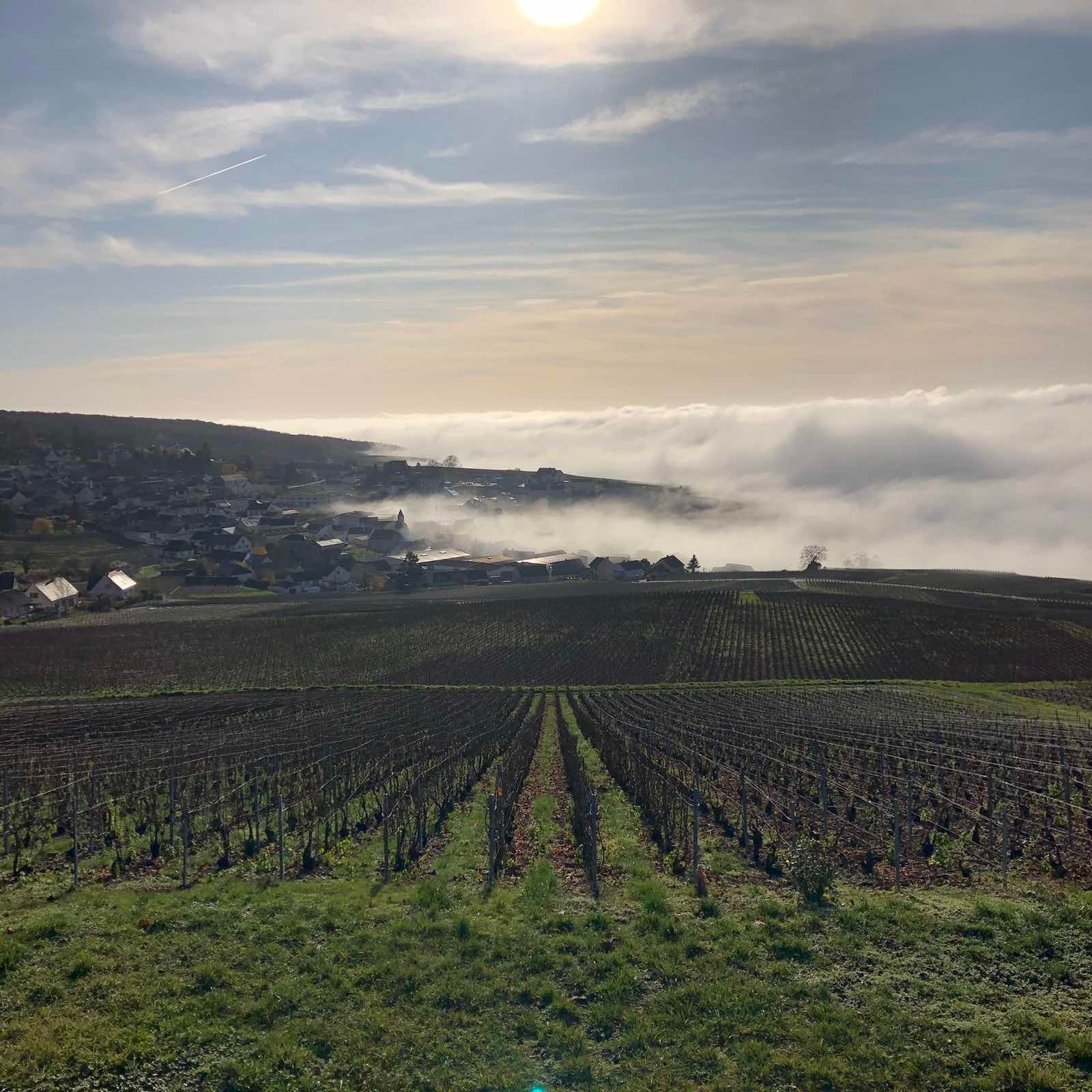 champagne tour in Reims — photo 18