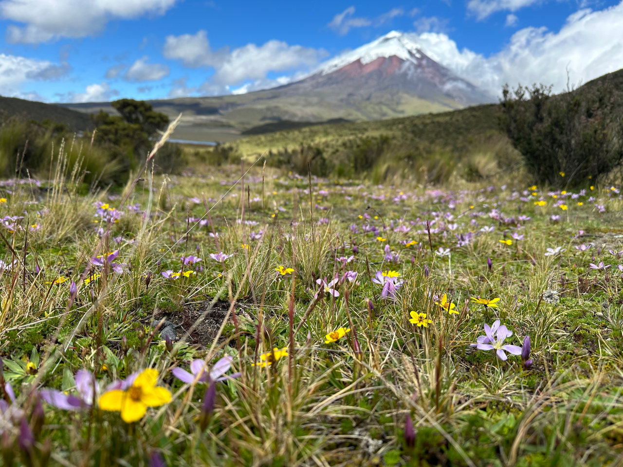 Cotopaxi & Baños Day Trip from Quito – Fully Guided