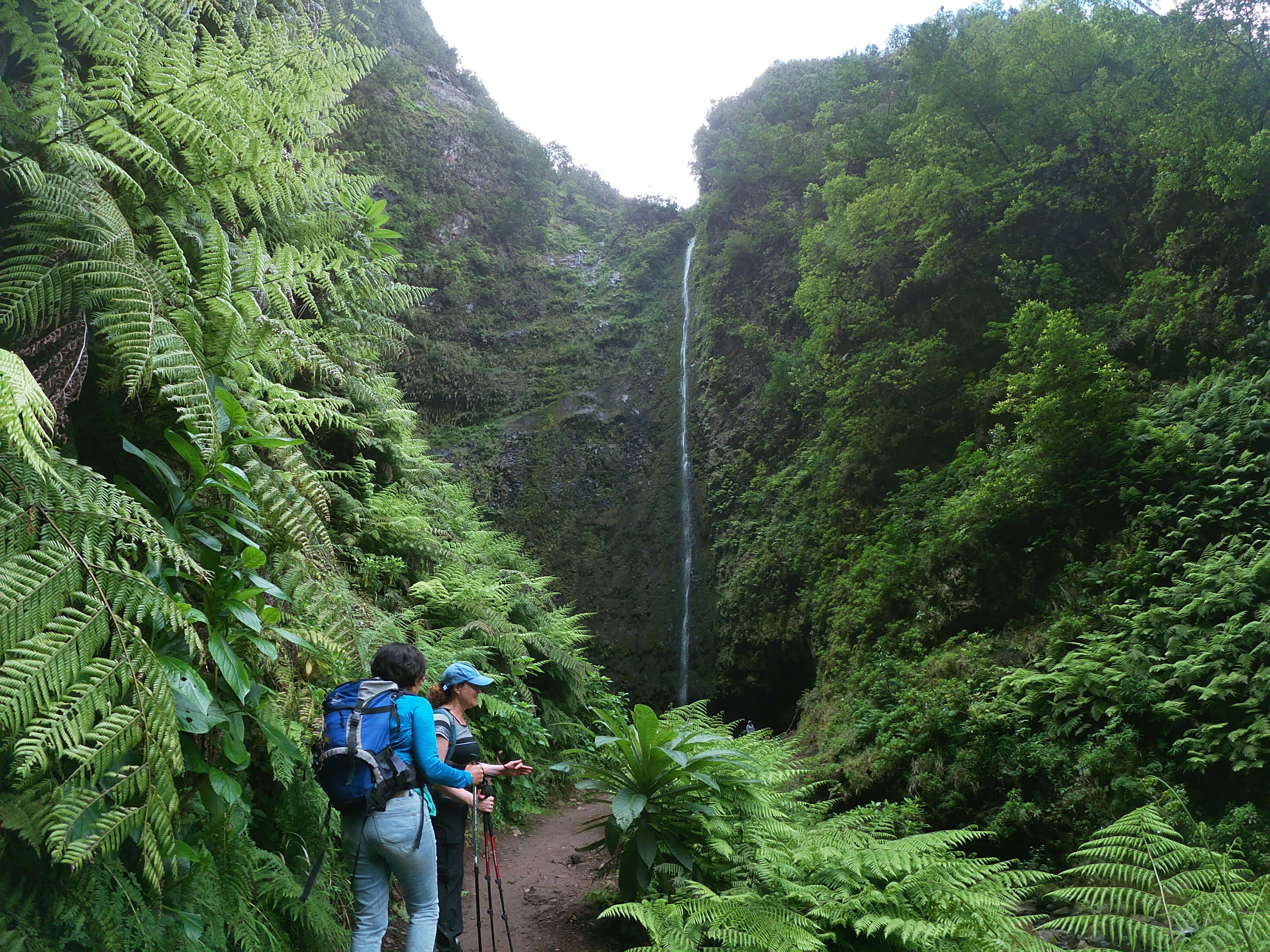 Caldeirão Verde Levada Hike