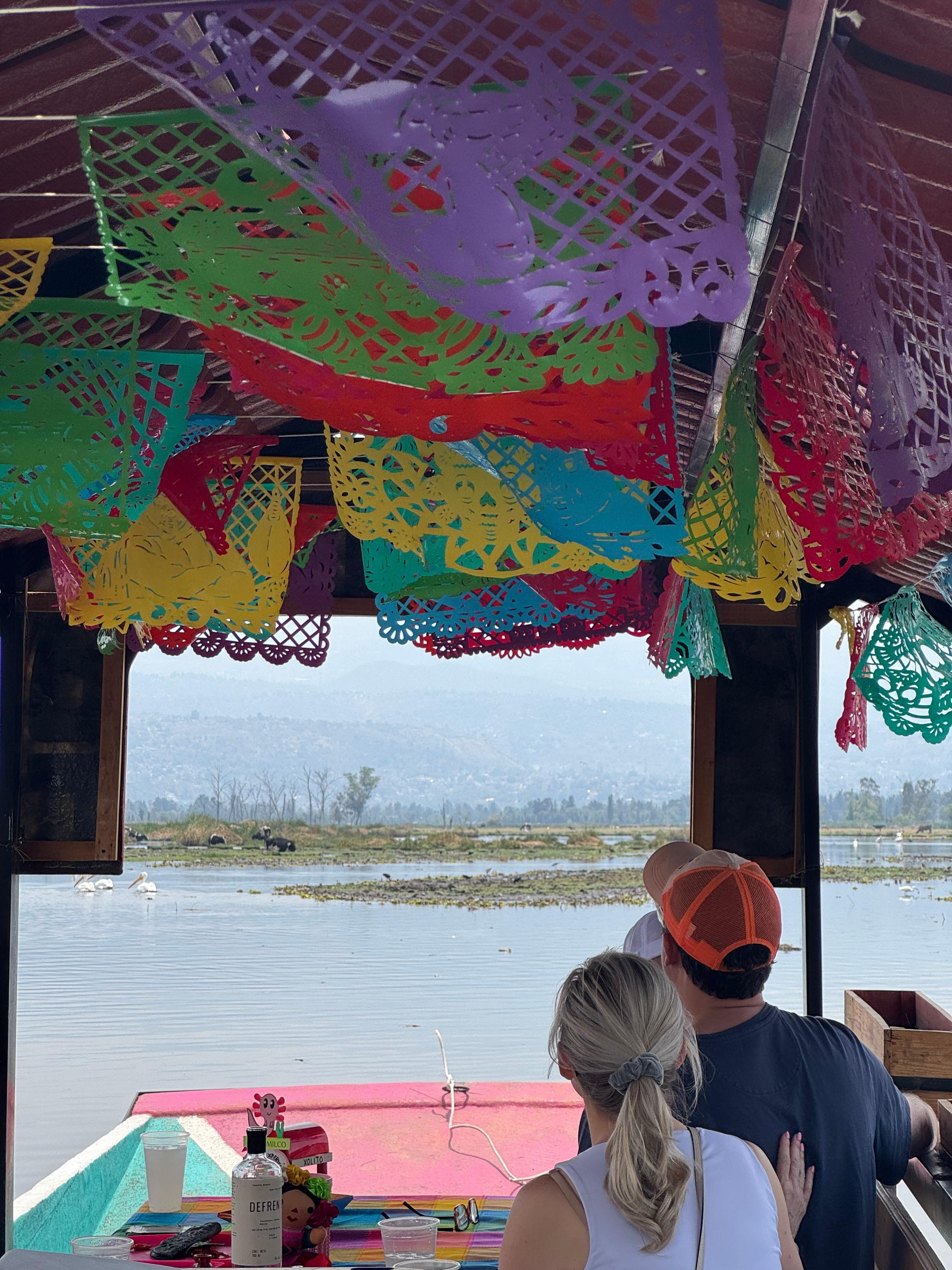 Xochimilco Axolotl Refuge & Canal Expedition