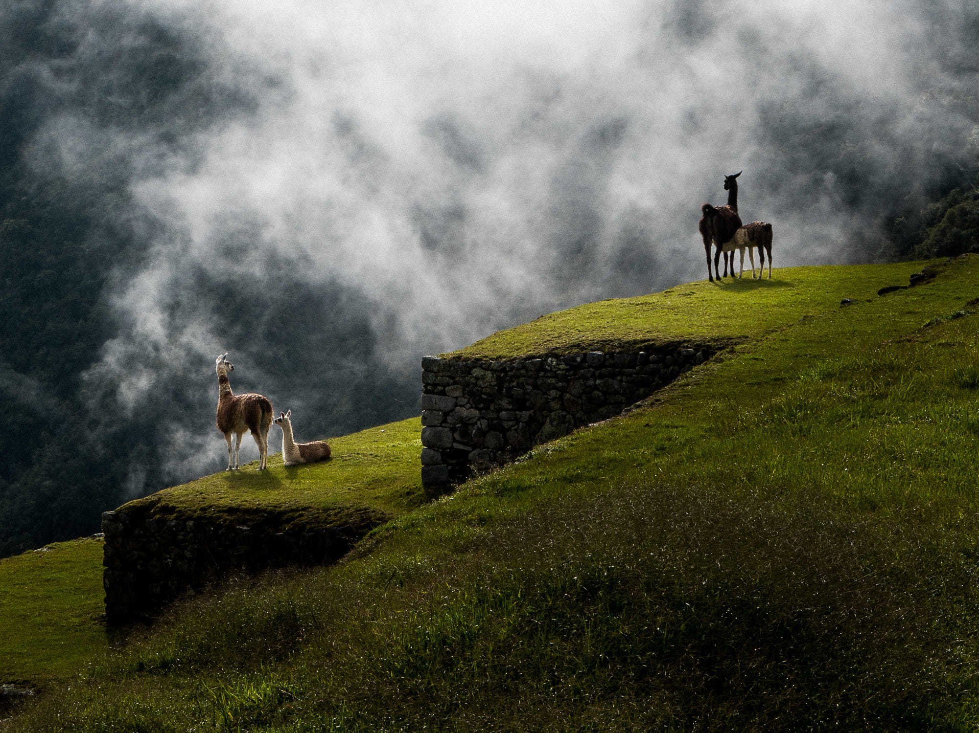 Scoperta del Perù in 7 giorni: Lima, Machu Picchu e la Montagna Arcobaleno