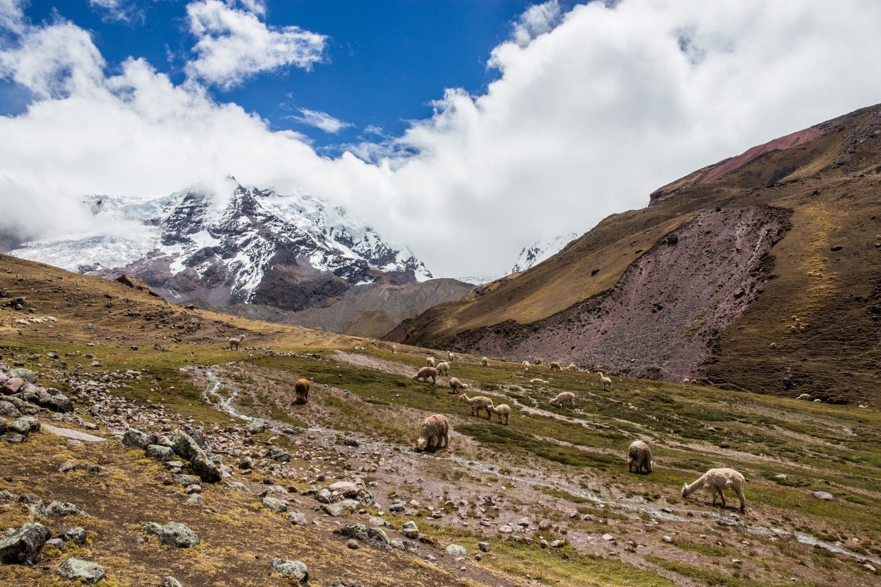 Scoperta del Perù in 7 giorni: Lima, Machu Picchu e la Montagna Arcobaleno
