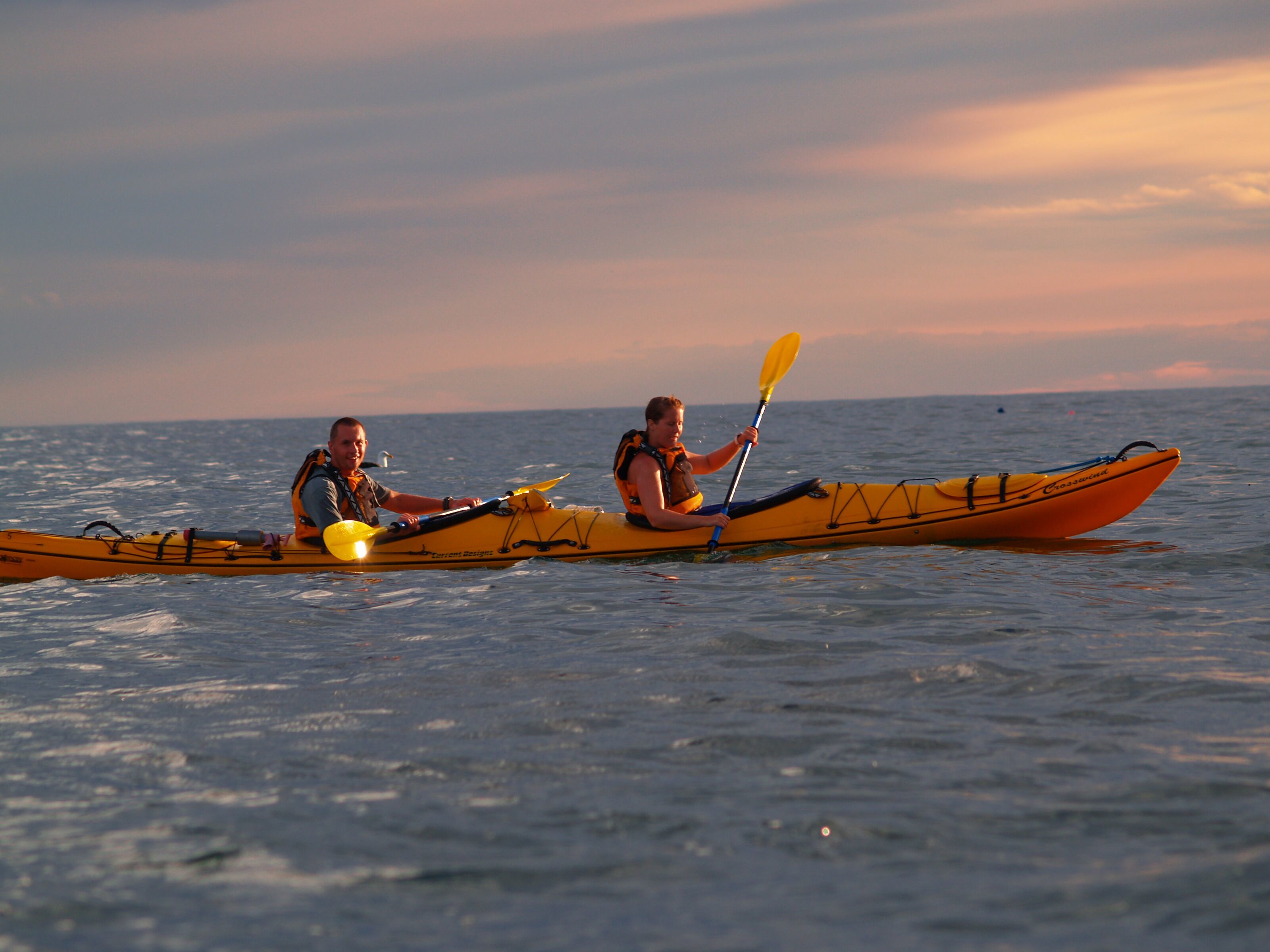 Kaikoura: Sunset Evening Kayaking Tour