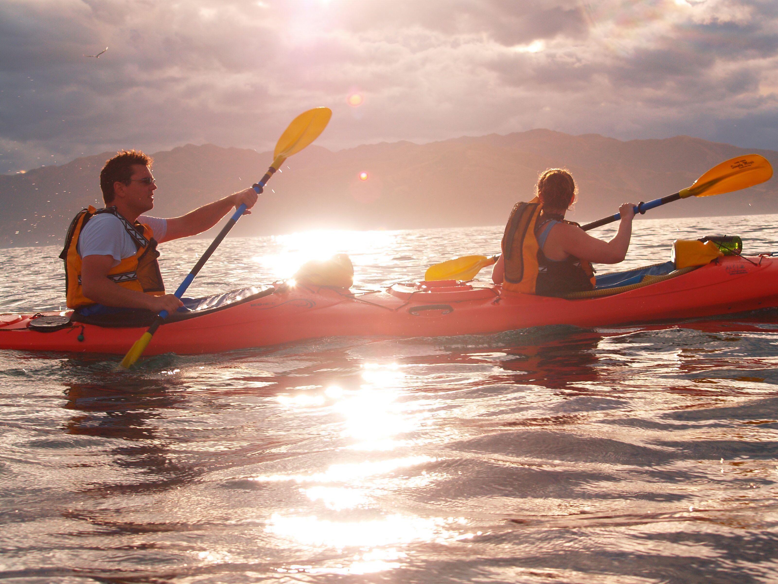 Kaikoura: Sunset Evening Kayaking Tour