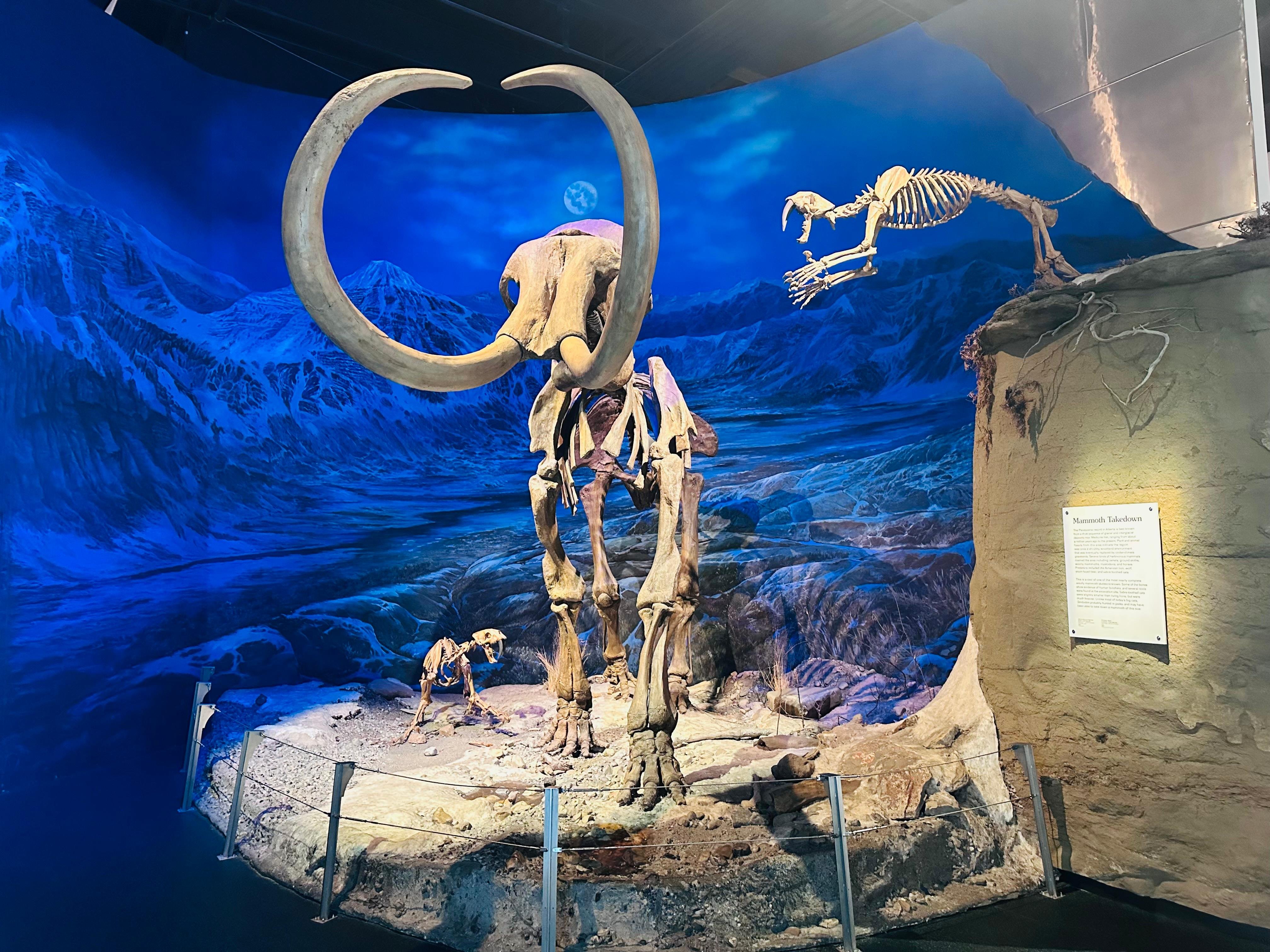 Drumheller Badlands Adventure: Dinosaur Museum & Canyon Tour from Calgary