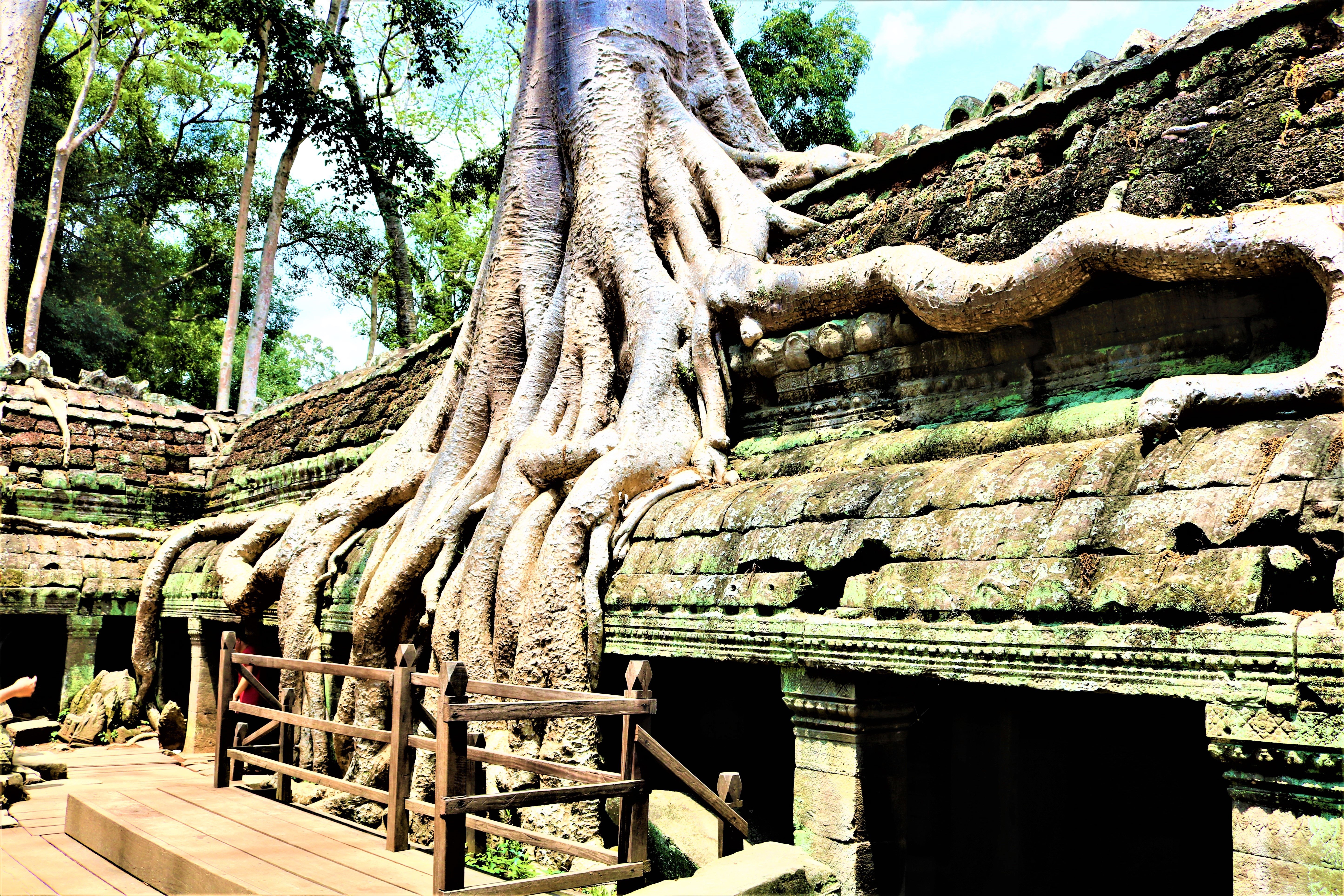 Angkor Wat Private Sunrise Tour with Champagne Breakfast