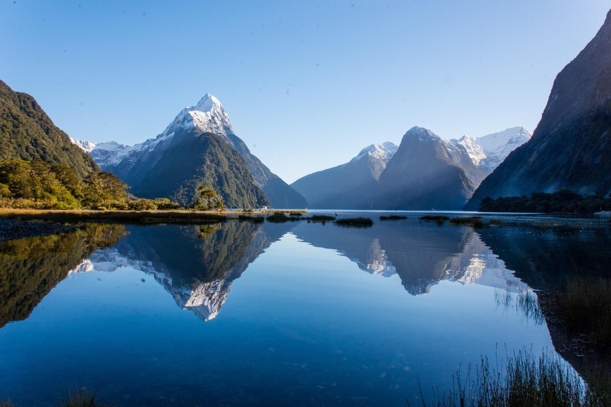 Milford Sound Scenic Helicopter Flight with Landing - 2026 (Verified Reviews)