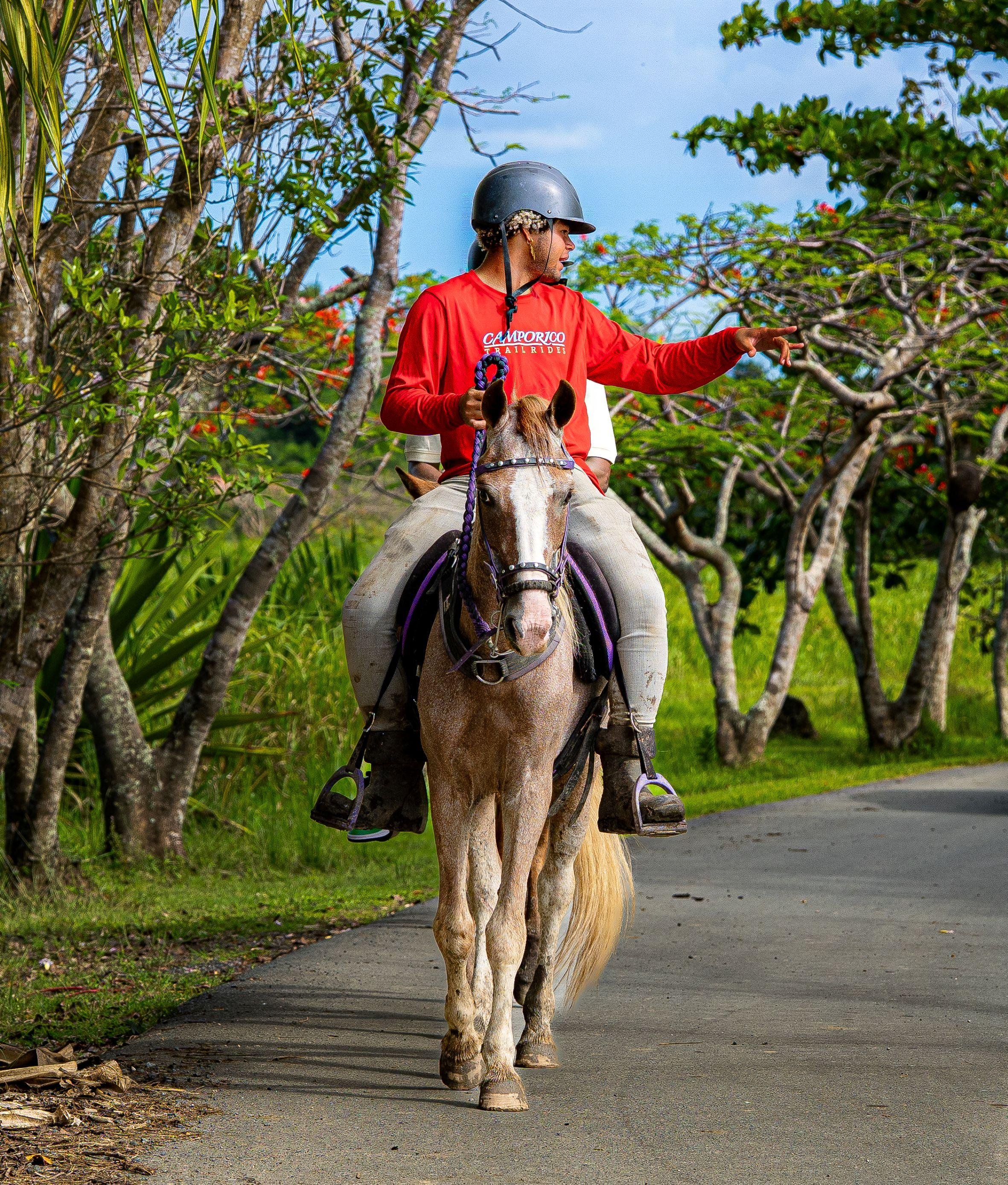 Hacienda Campo Rico: Private Ranch Horseback Adventure