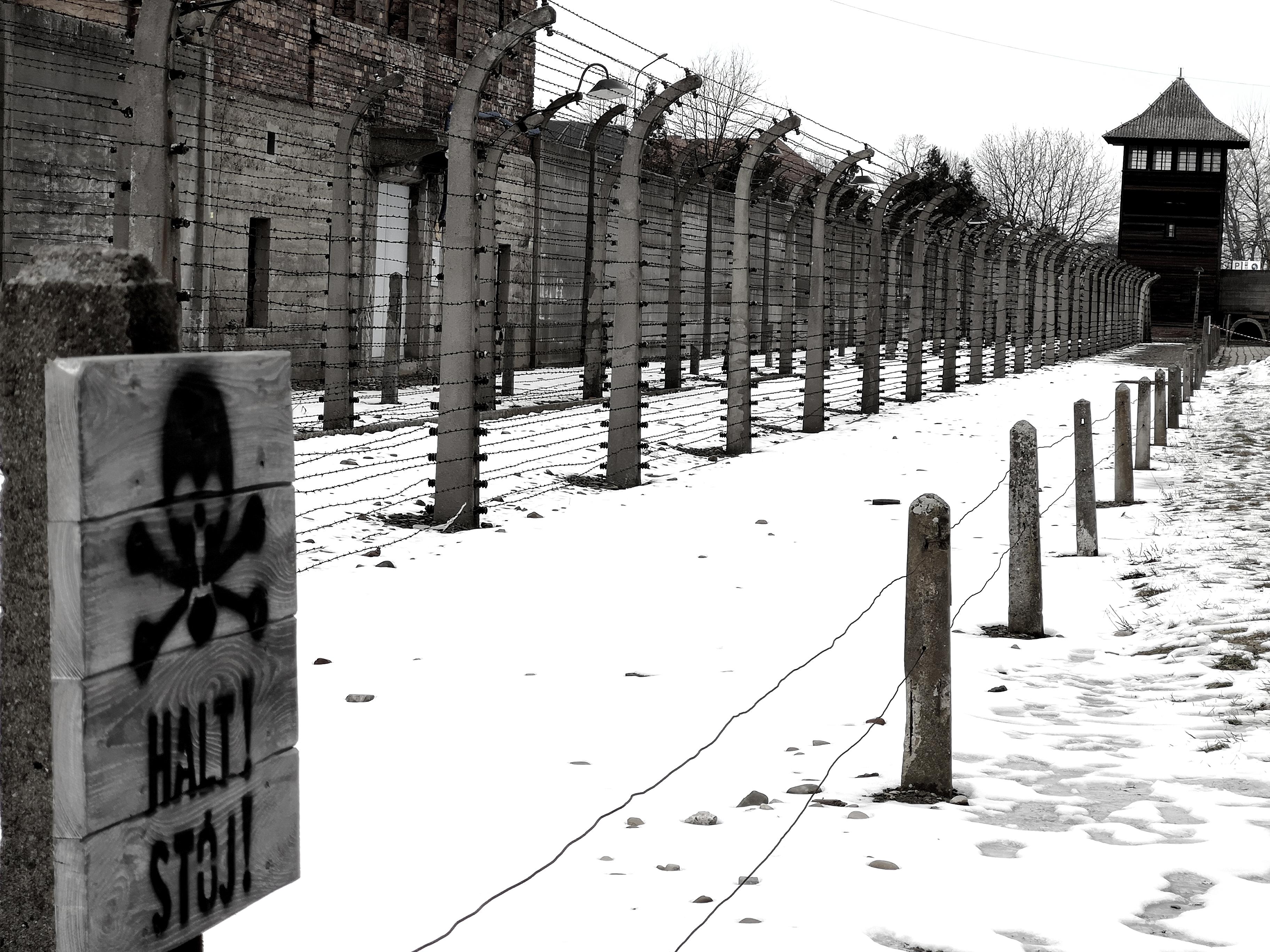 Krakow to Auschwitz-Birkenau Private Chauffeur Transfer