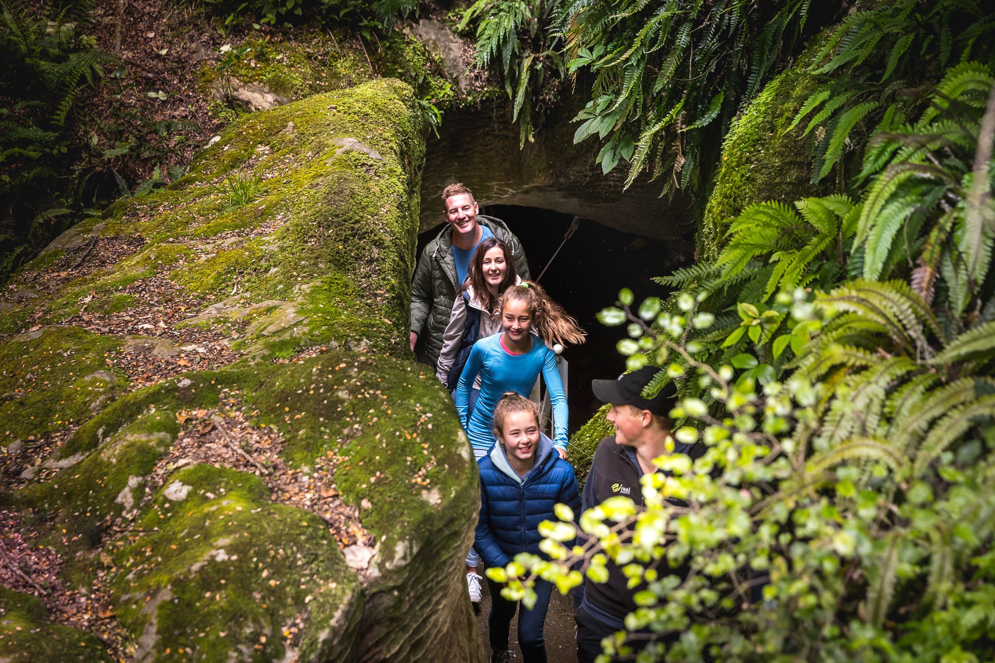 Te Anau Glowworm Caves tour in Fiordland — image 9