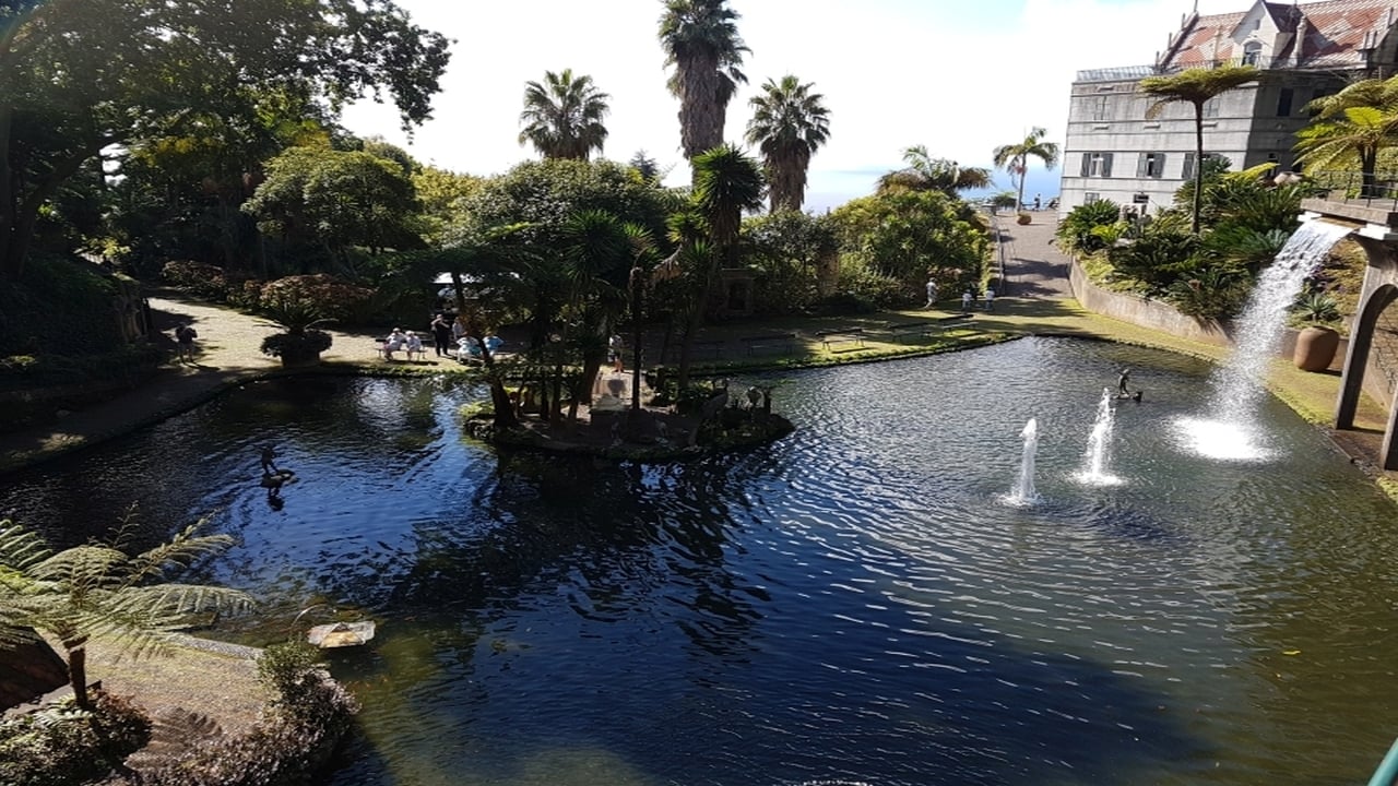 Madeira Private Gardens Tour: Monte Palace & Botanical Garden