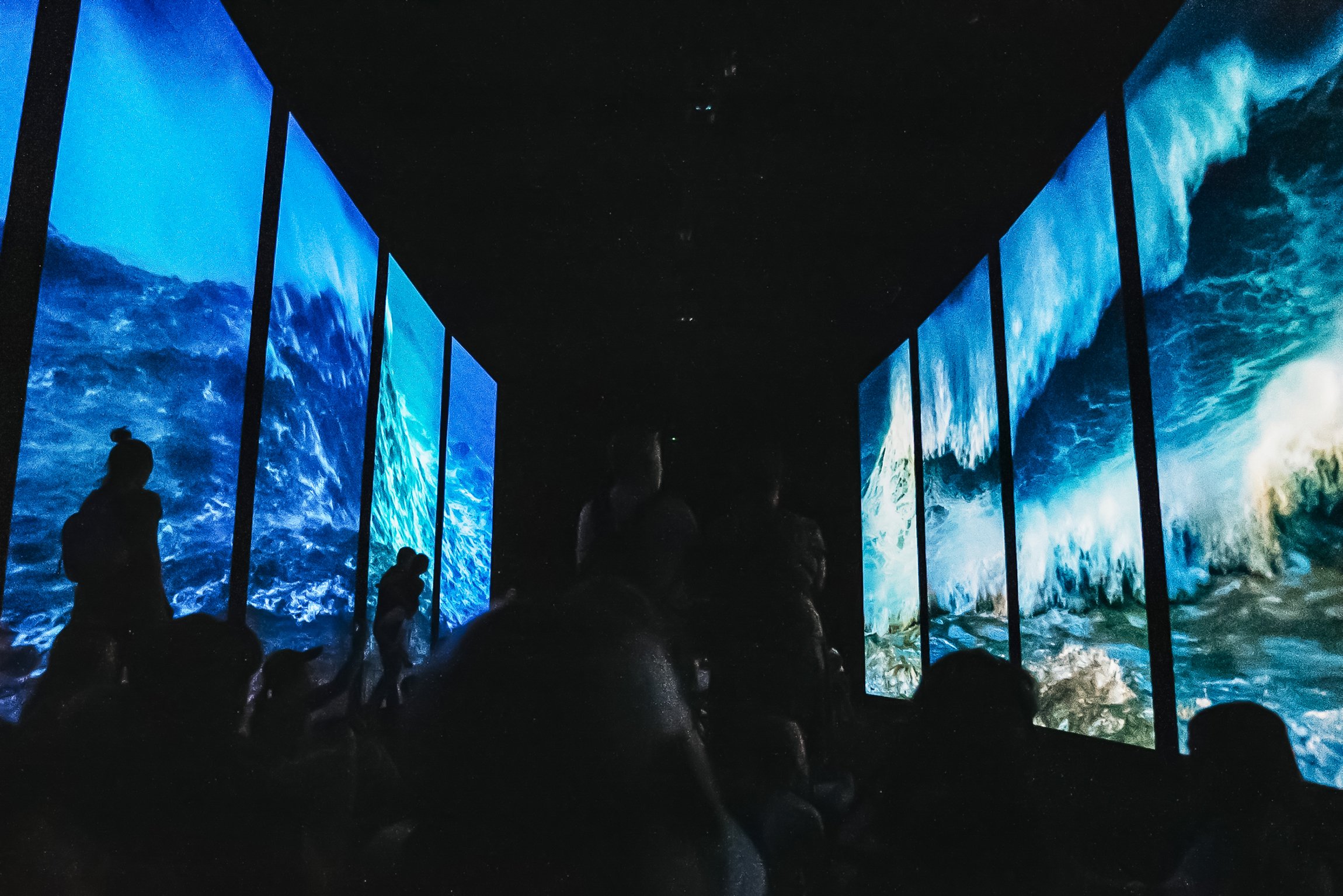 Lisbon Oceanarium: General Admission Ticket