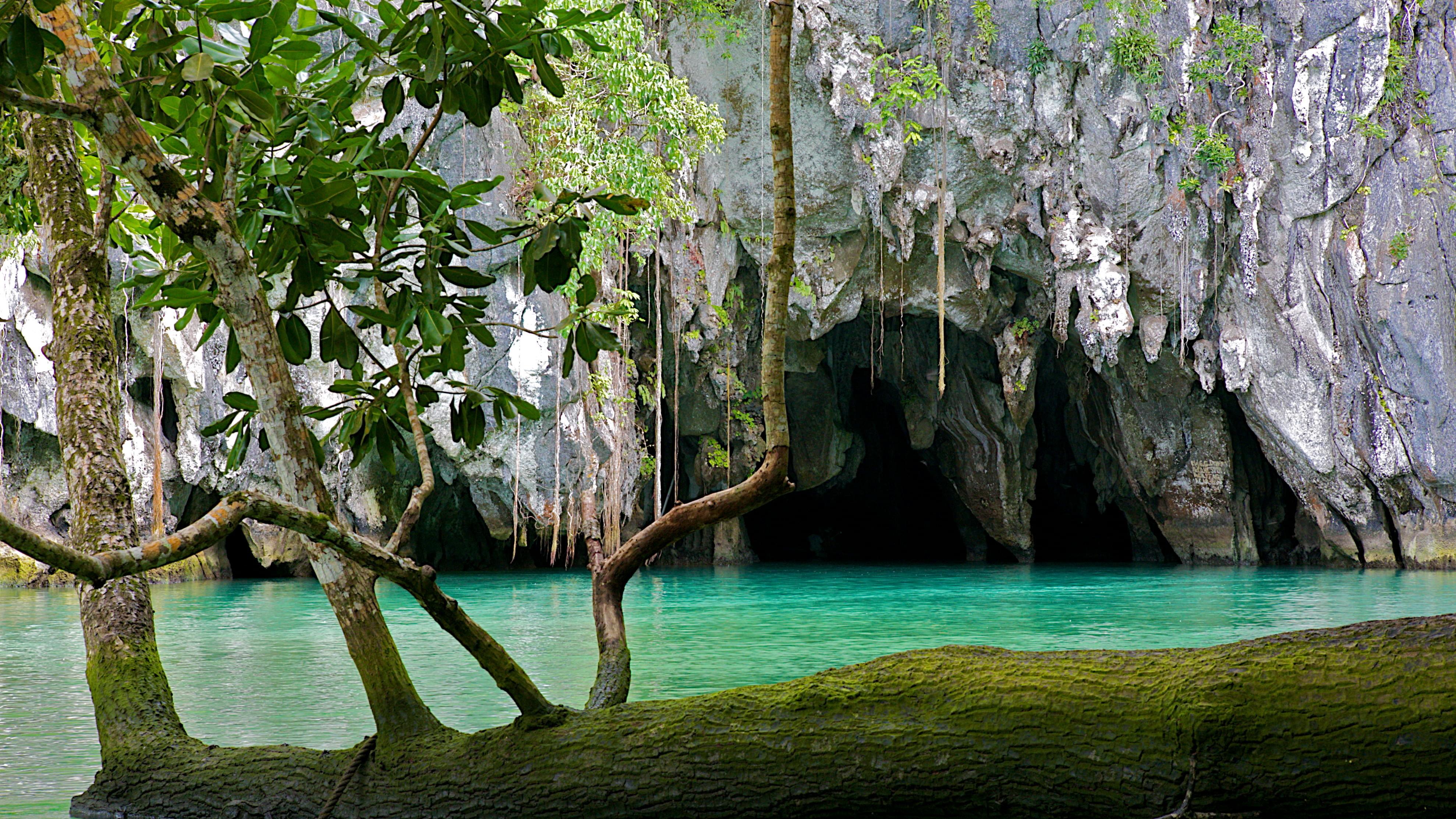 Puerto Princesa Underground River & Evening Firefly Cruise