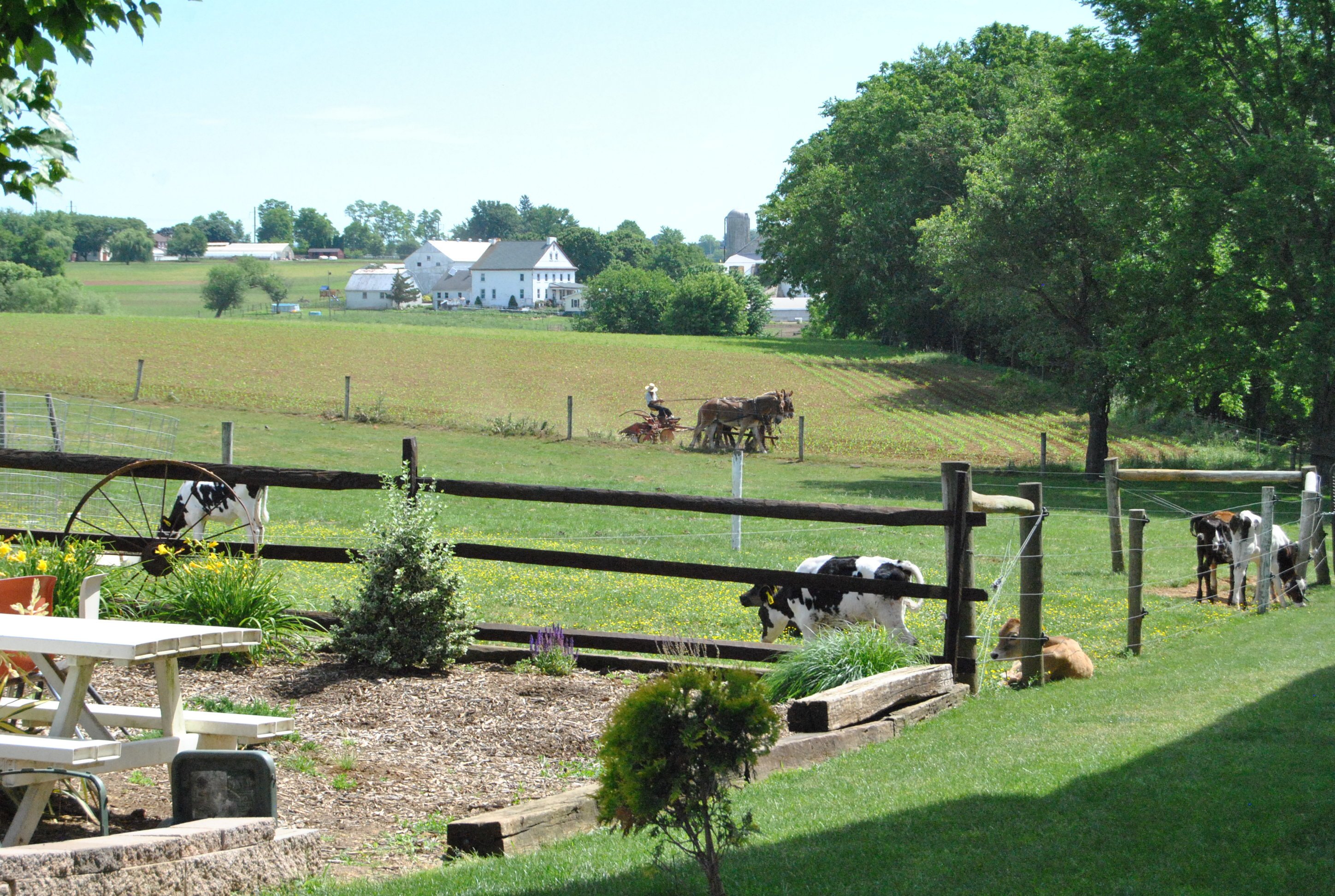 Lancaster Amish Community Visit