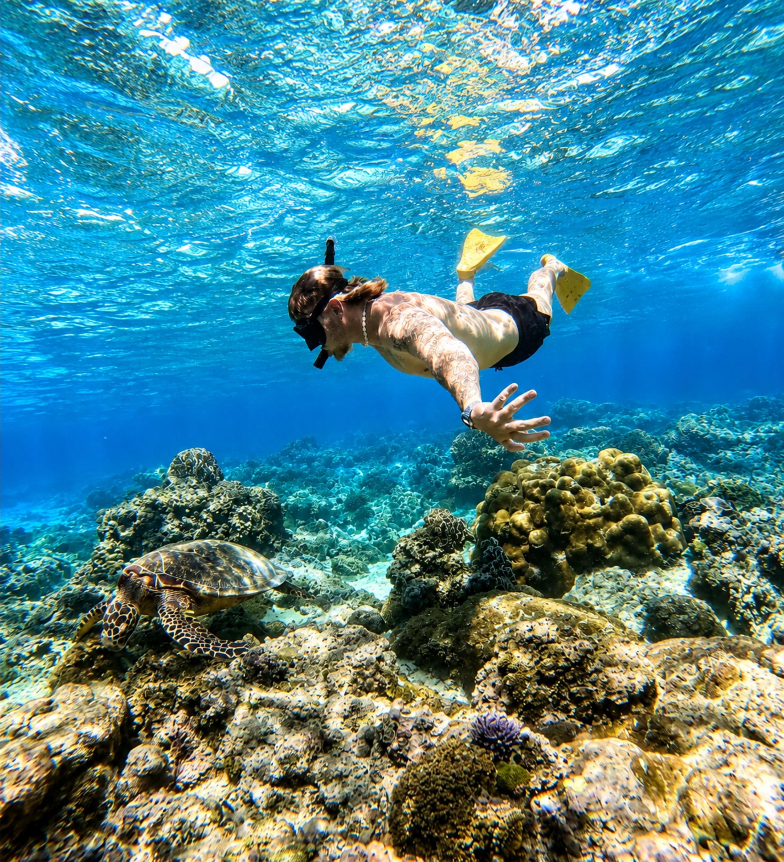 Gili Air Shared Snorkeling Adventure with Sea Turtles