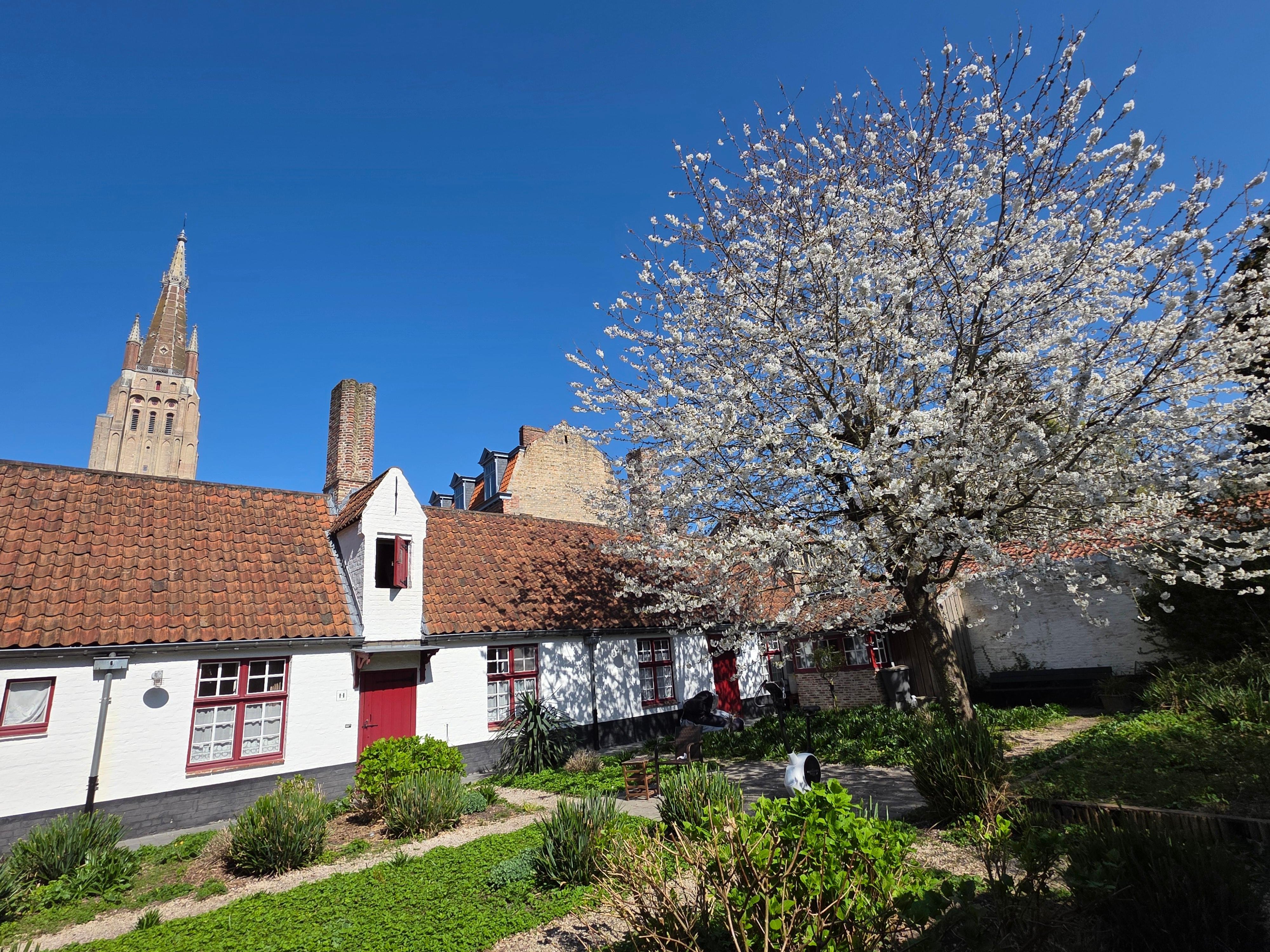 Bruges canal boat tour — medieval canals, low bridges, the Belfry and the Beguinage in the Venice of the North — image 40