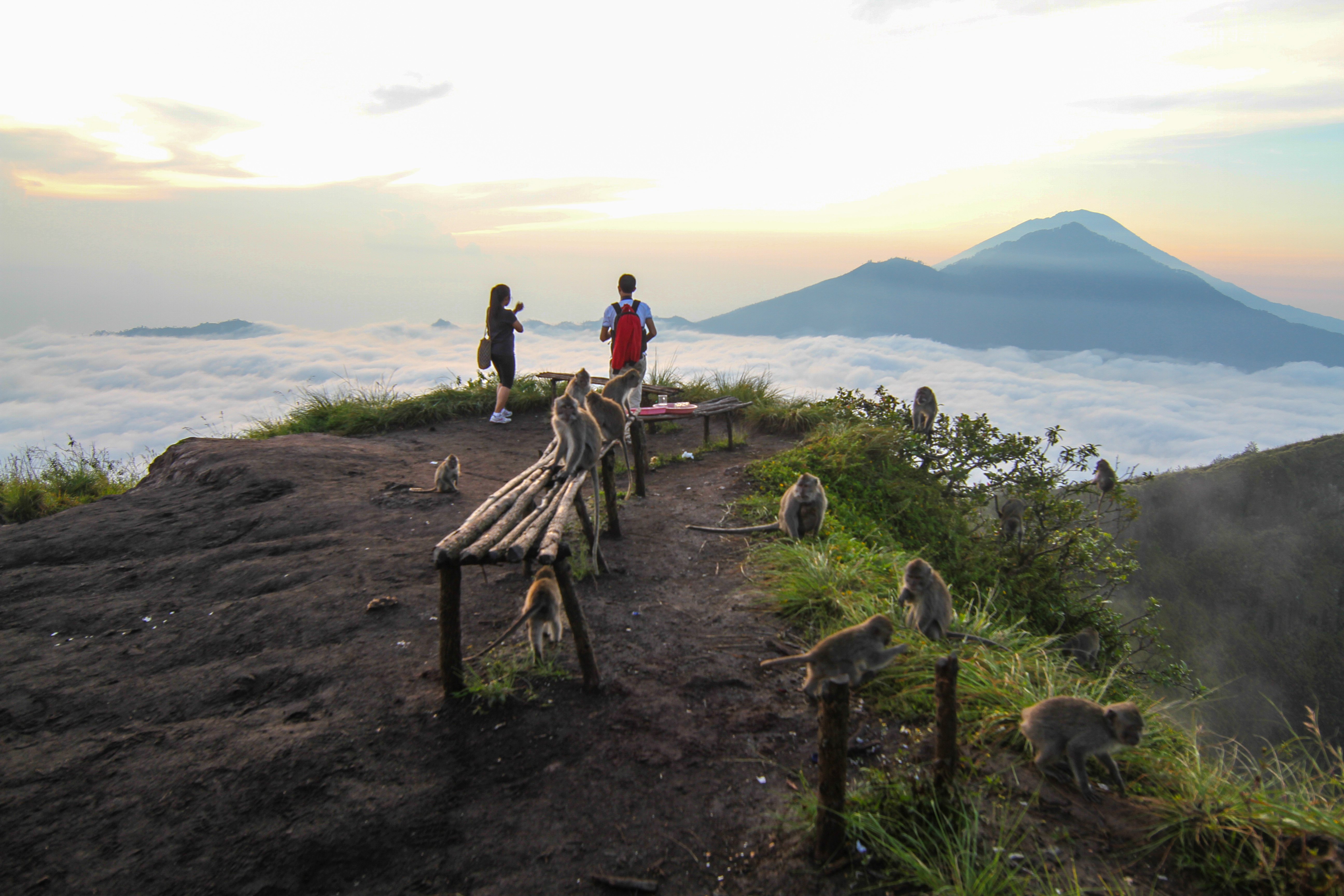 Bali: Mount Batur Sunrise Trek & Tibumana Waterfall
