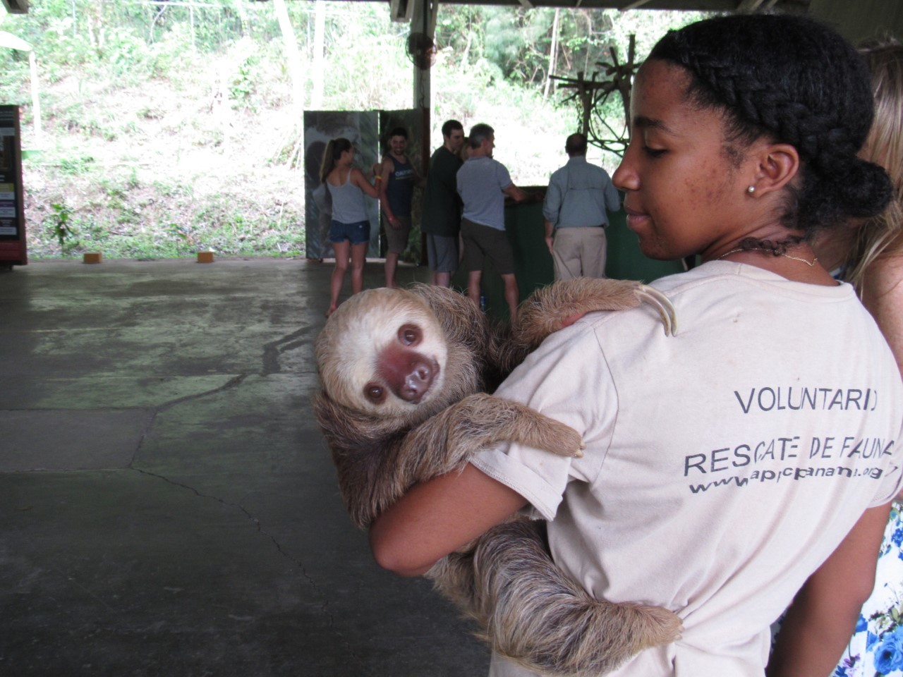 Panama Wildlife Discovery: Monkey Island, Sloths & Canal Boat Tour