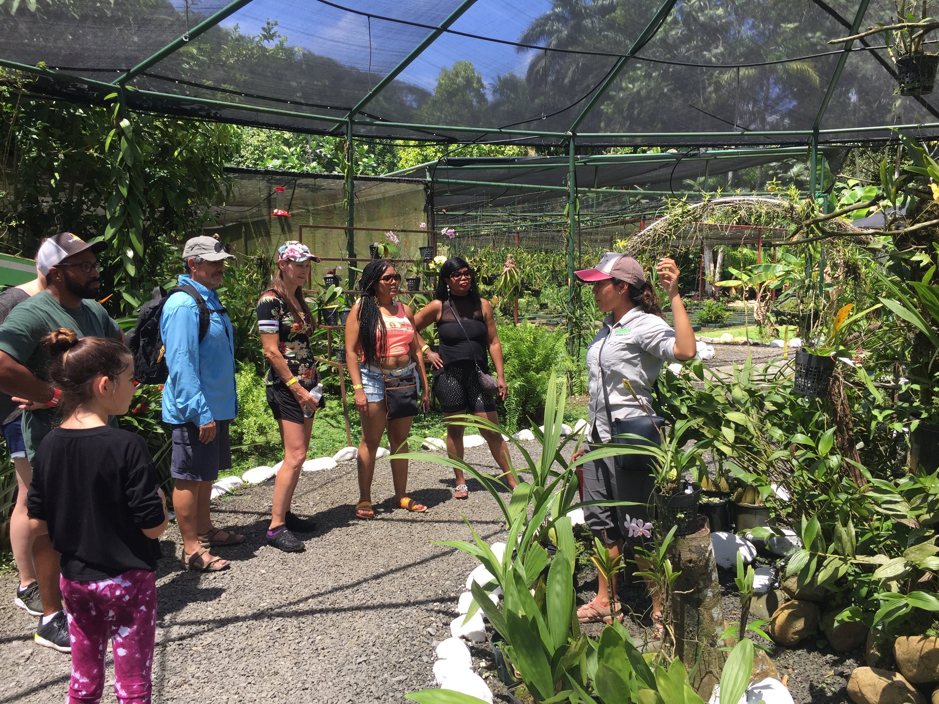 Panama Wildlife Discovery: Monkey Island, Sloths & Canal Boat Tour