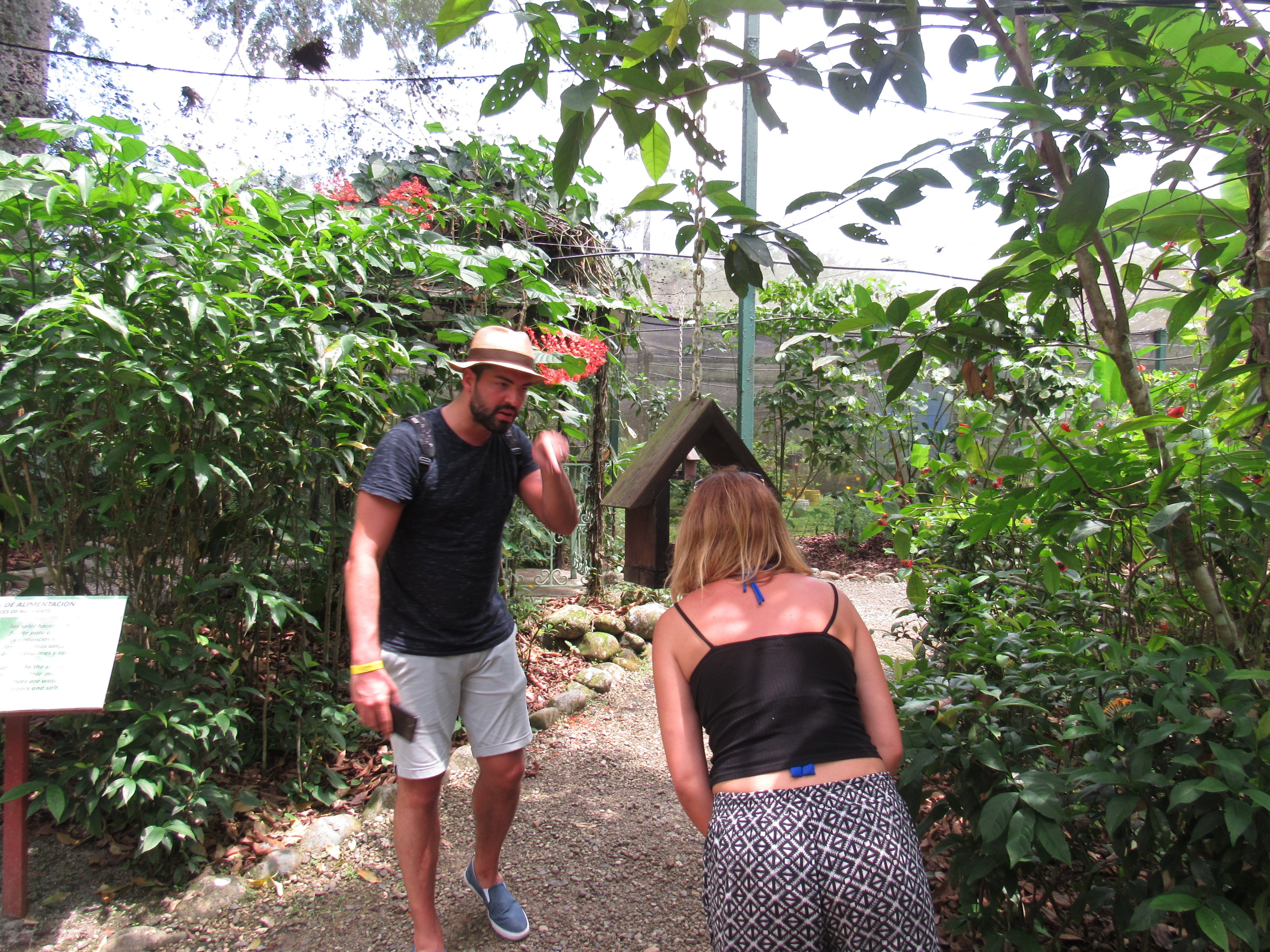 Panama Wildlife Discovery: Monkey Island, Sloths & Canal Boat Tour