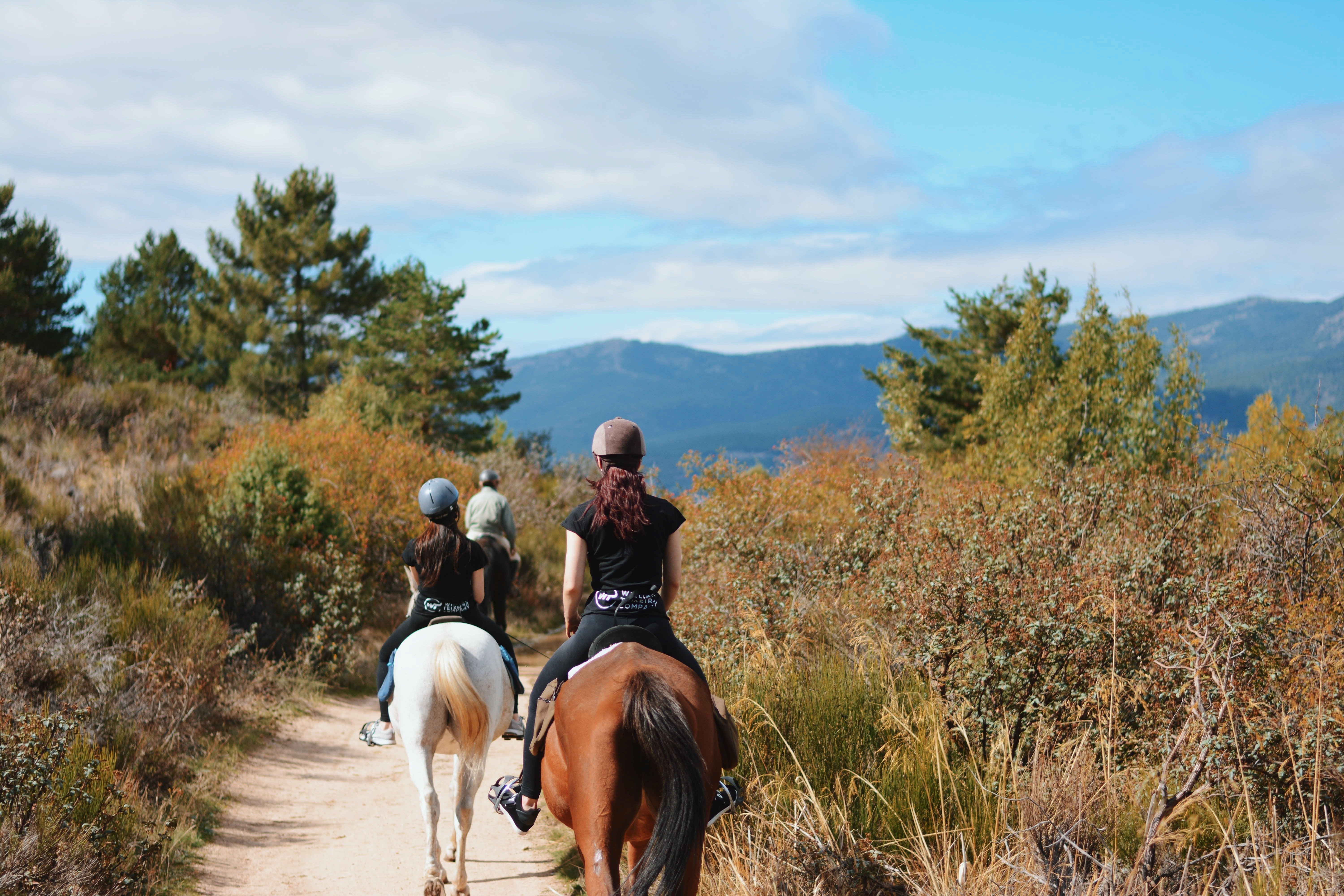 Sierra de Guadarrama Horseback Riding Adventure