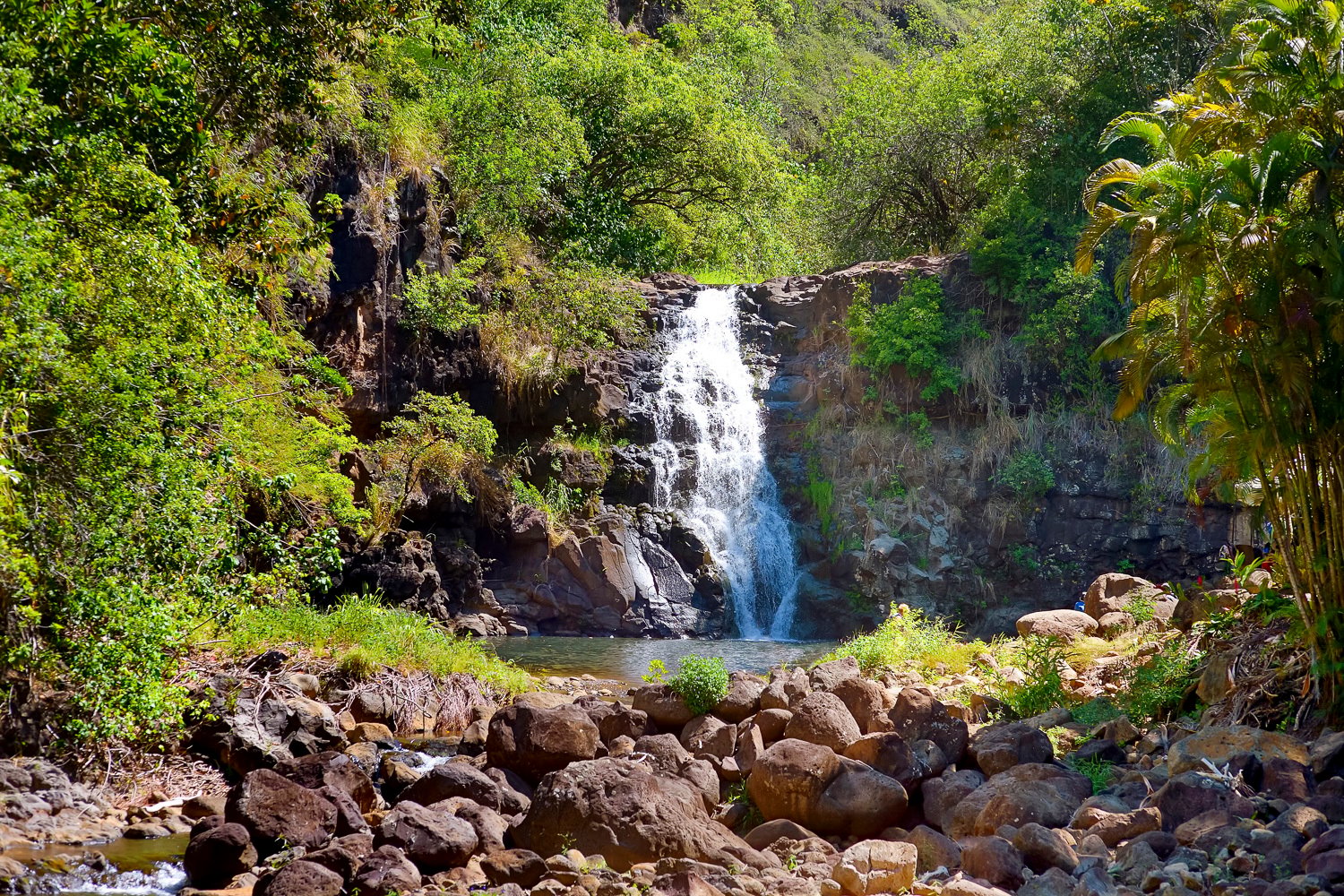 Oahu circle island tour scenery and windward coast landmarks — image 15