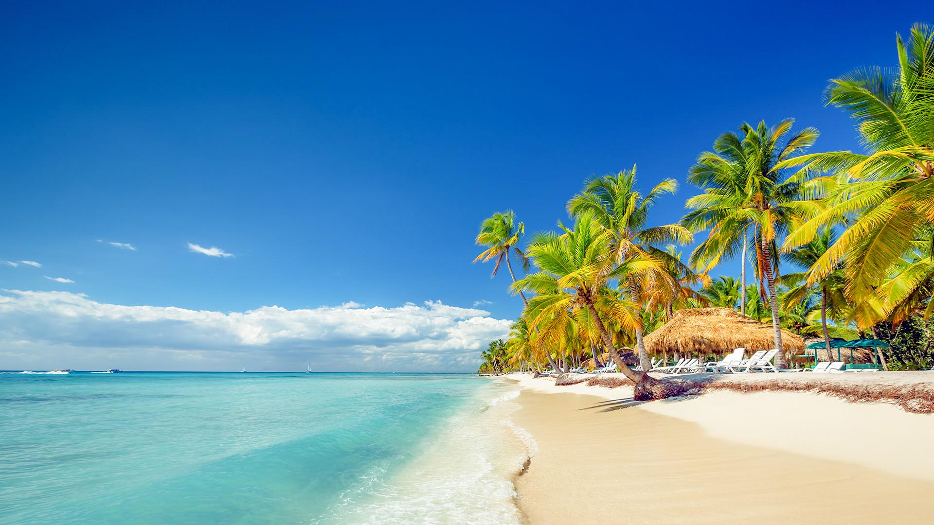 Saona Island Full-Day Adventure from Bayahibe