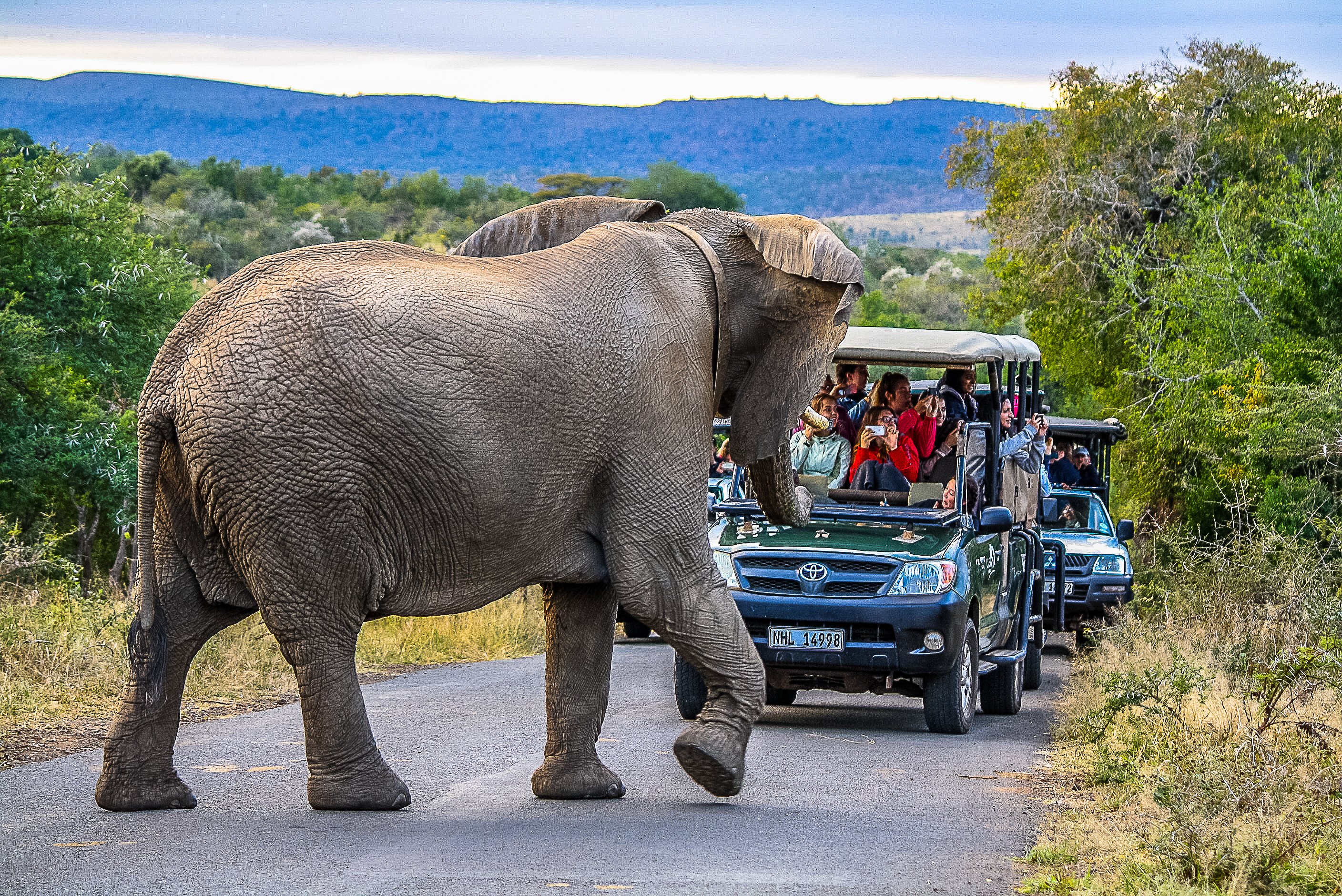 Hluhluwe-Imfolozi Big 5 Safari
