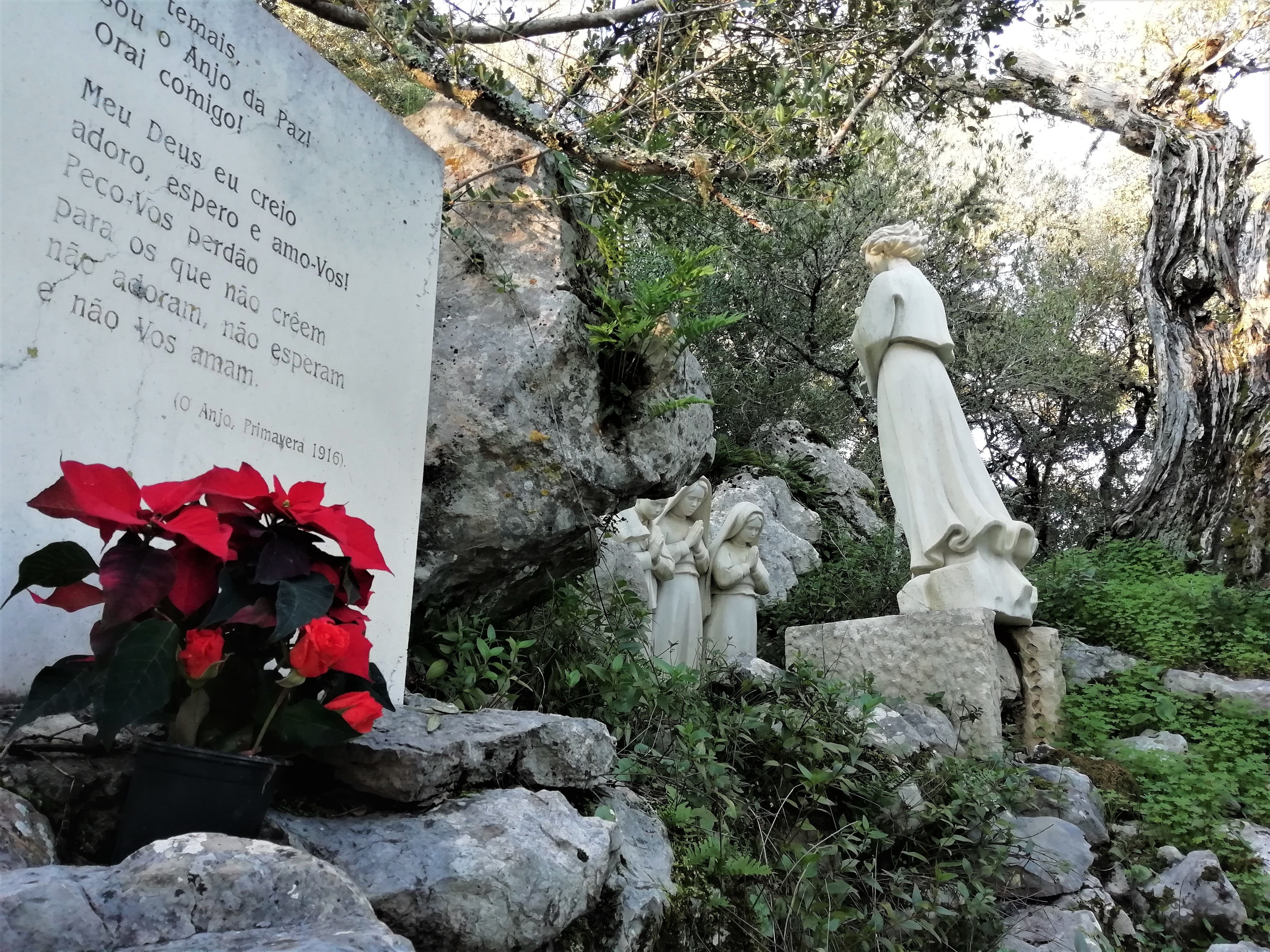 Private Full-Day Fátima Pilgrimage from Lisbon