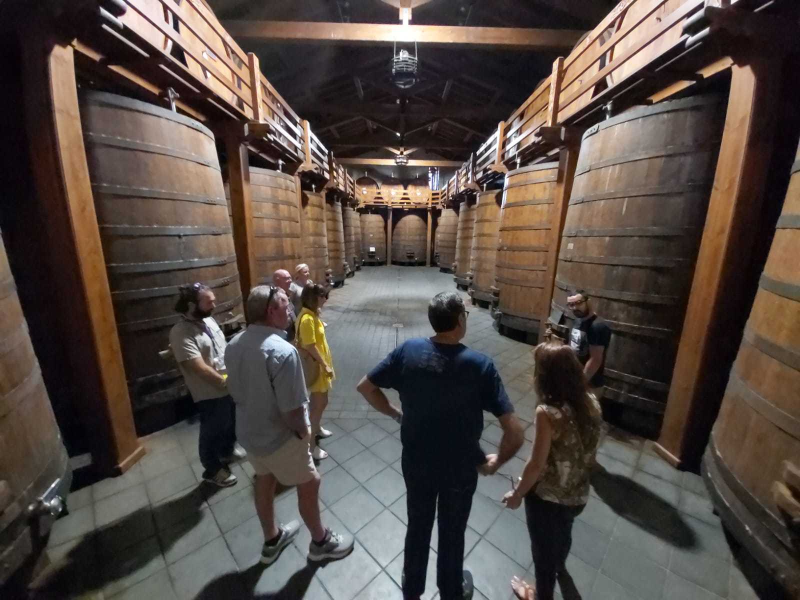Etna Boutique Winery Small Group Experience from Taormina