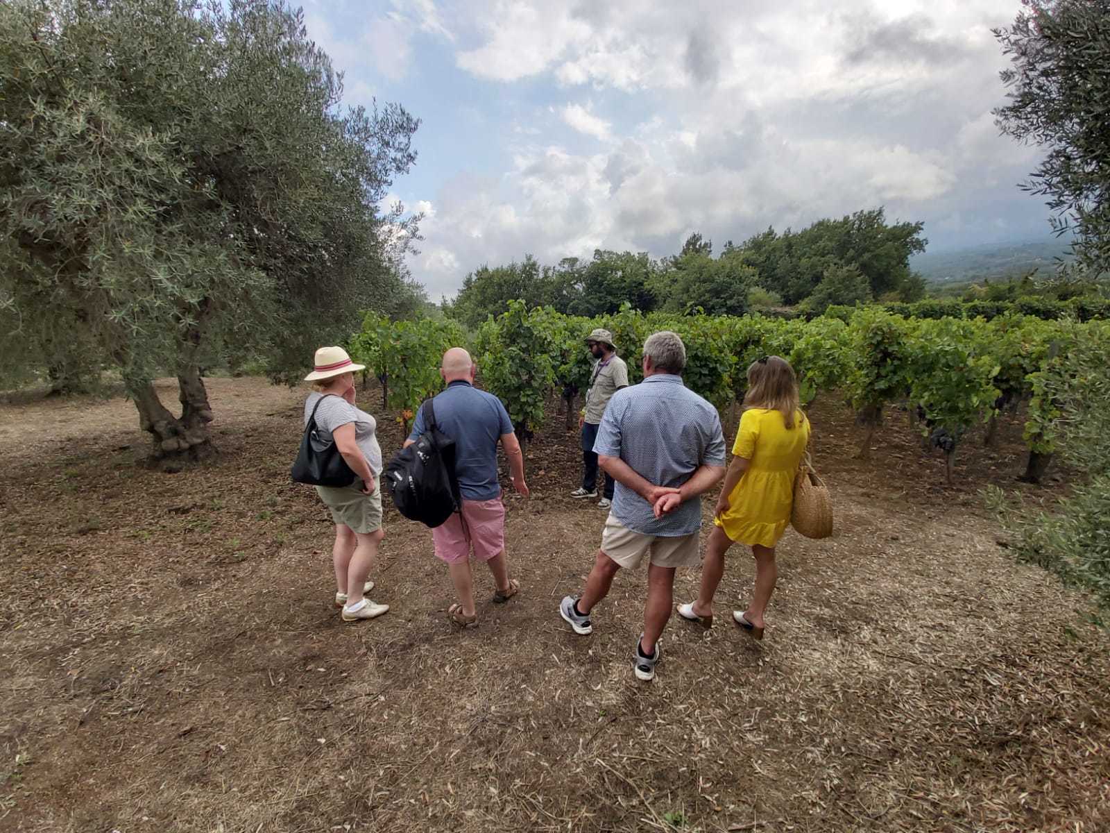 Etna Boutique Winery Small Group Experience from Taormina