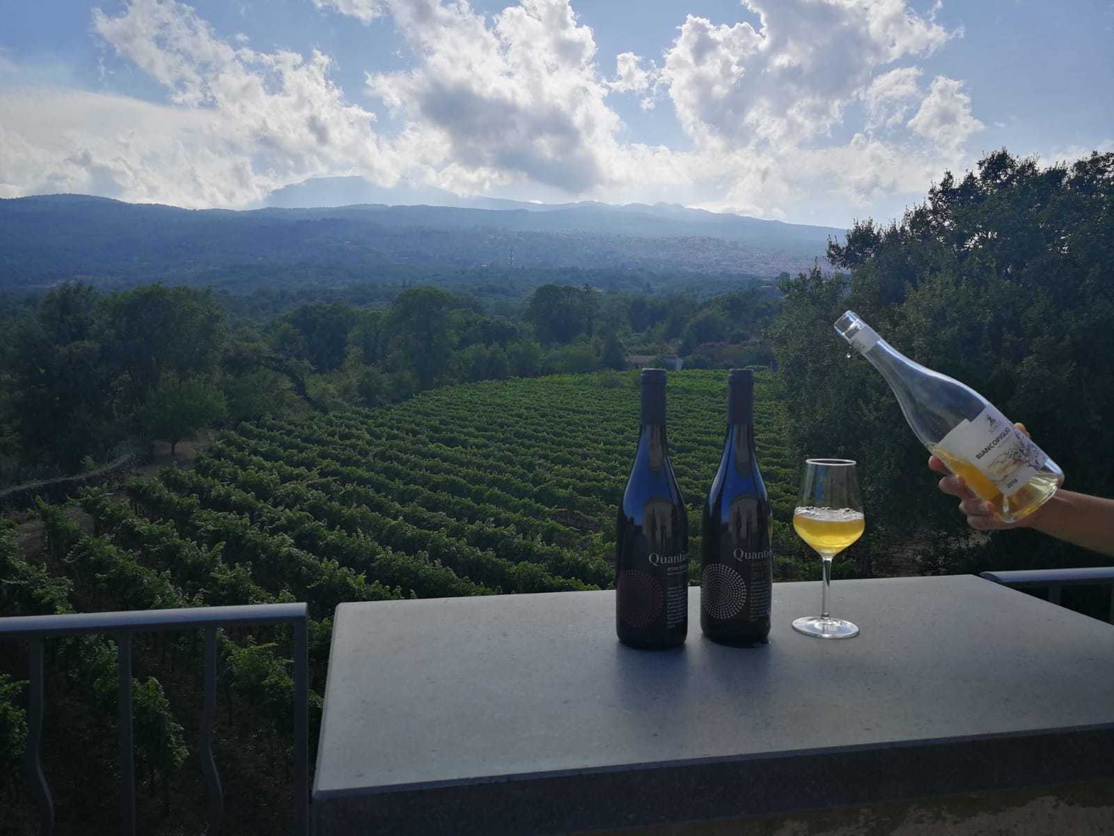 Etna Boutique Winery Small Group Experience from Taormina