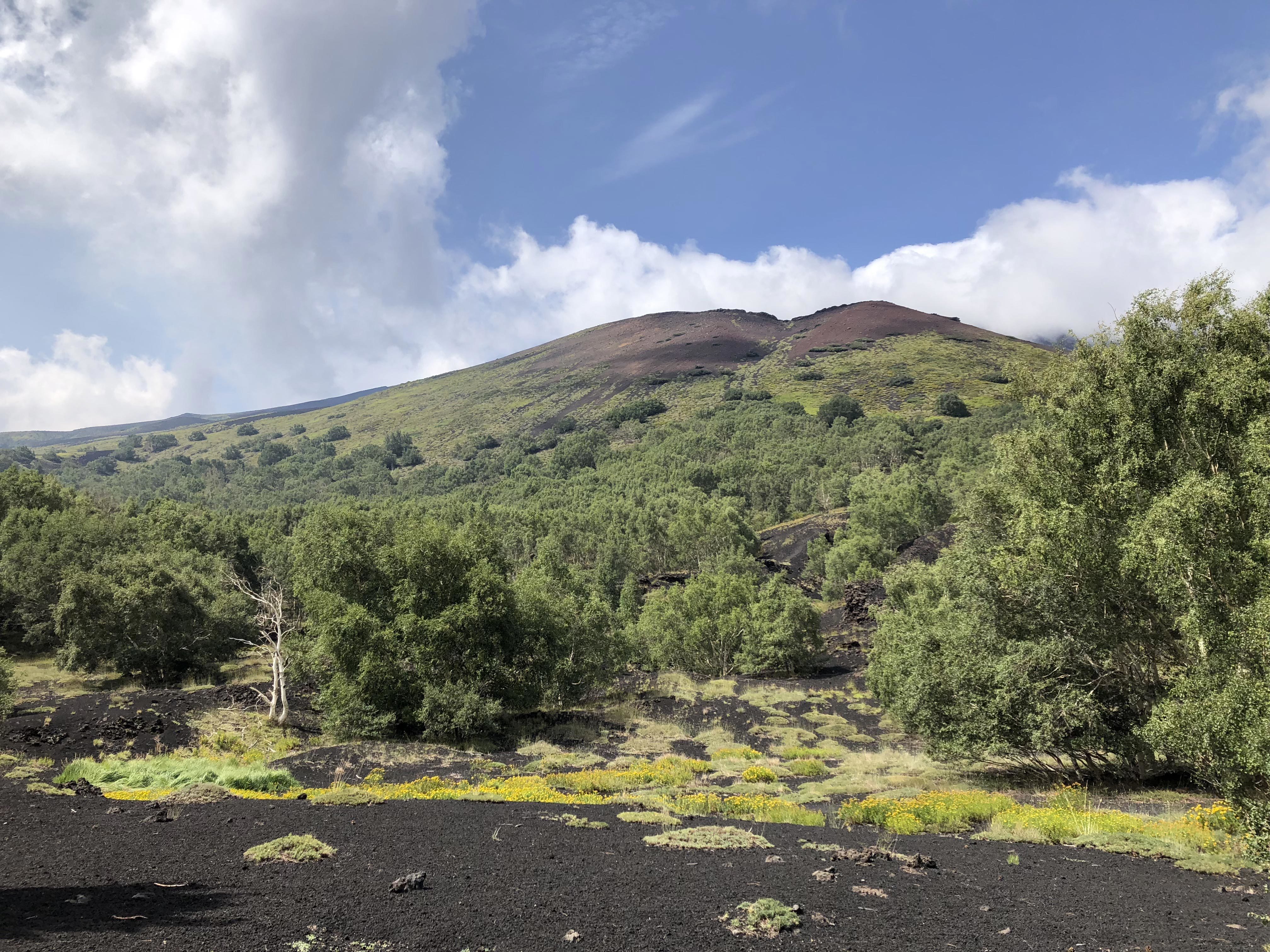 Etna Volcano, Wine Tasting & Alcantara Gorges Day Trip