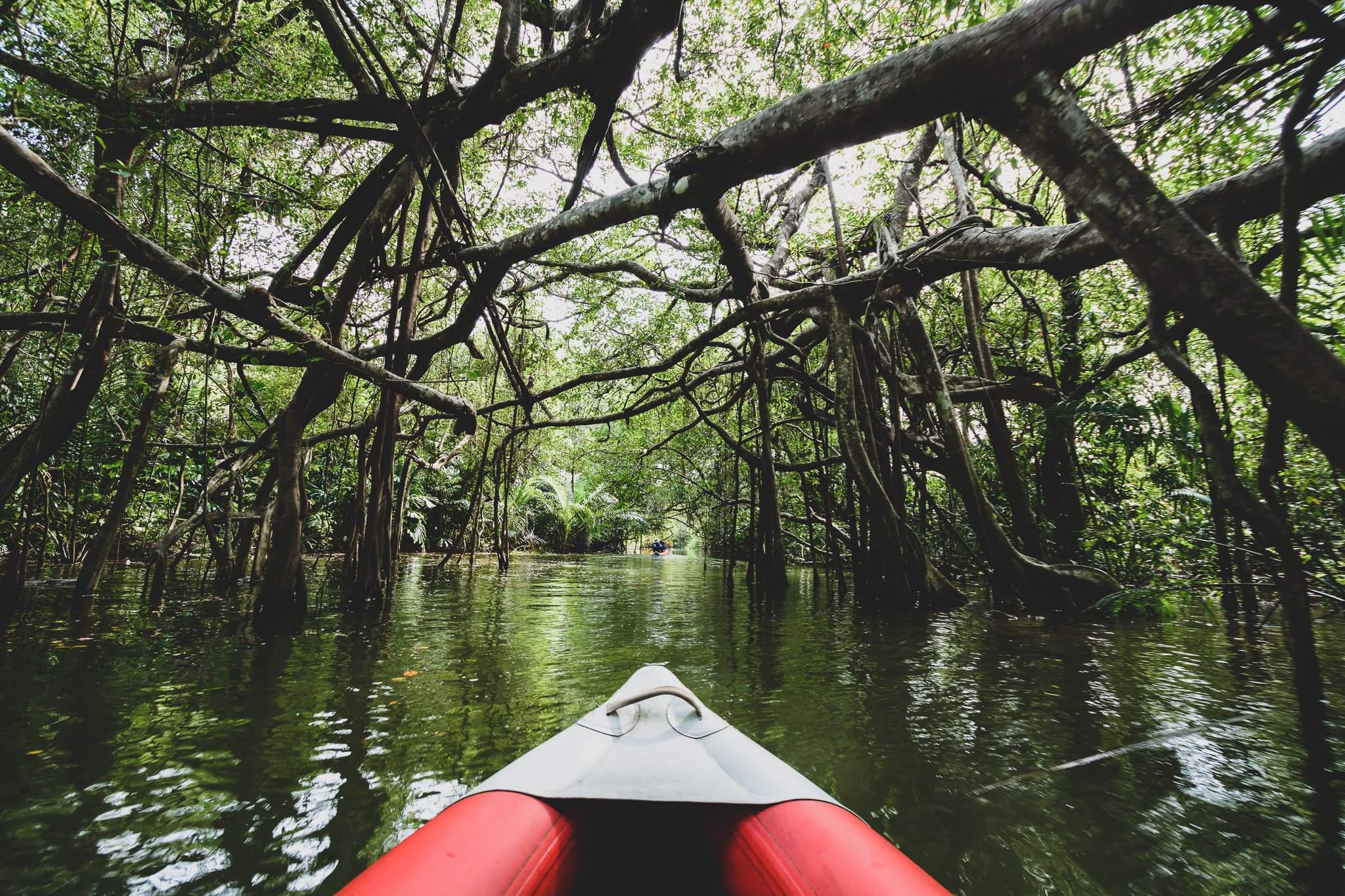 Little Amazon Canoe Adventure & Tam Nang Waterfall Trek