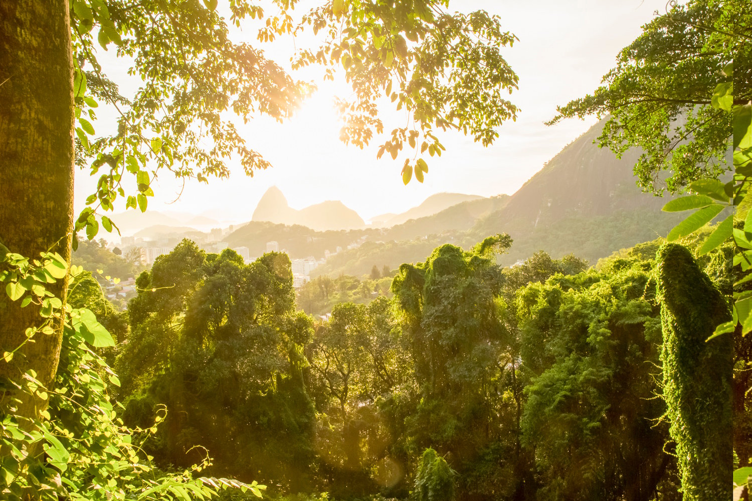 Rio de Janeiro Full-Day Highlights Tour