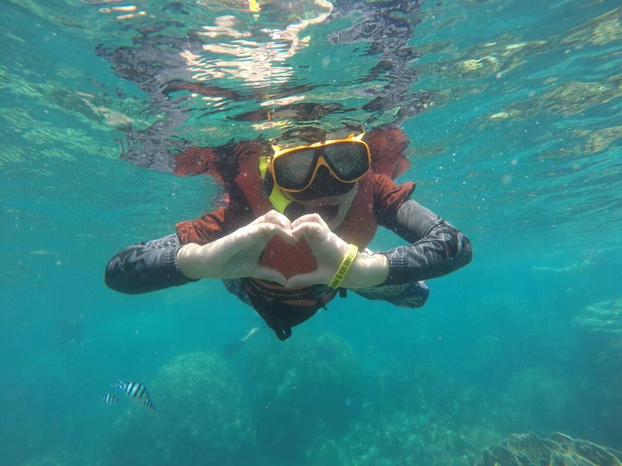 Koh Tao & Koh Nang Yuan Speedboat Adventure from Samui
