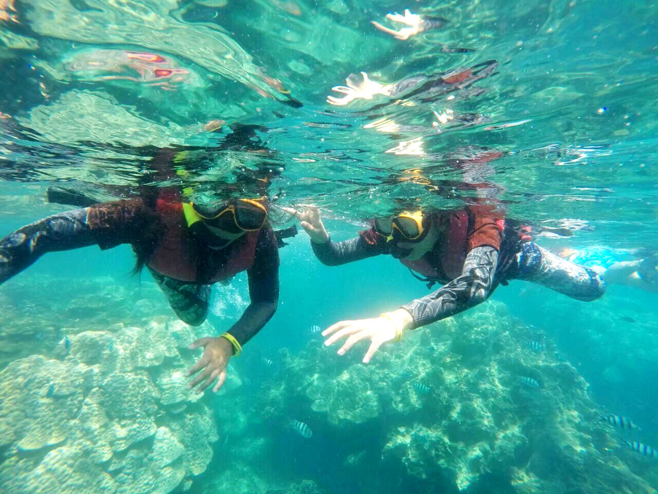 Koh Tao & Koh Nang Yuan Speedboat Adventure from Samui