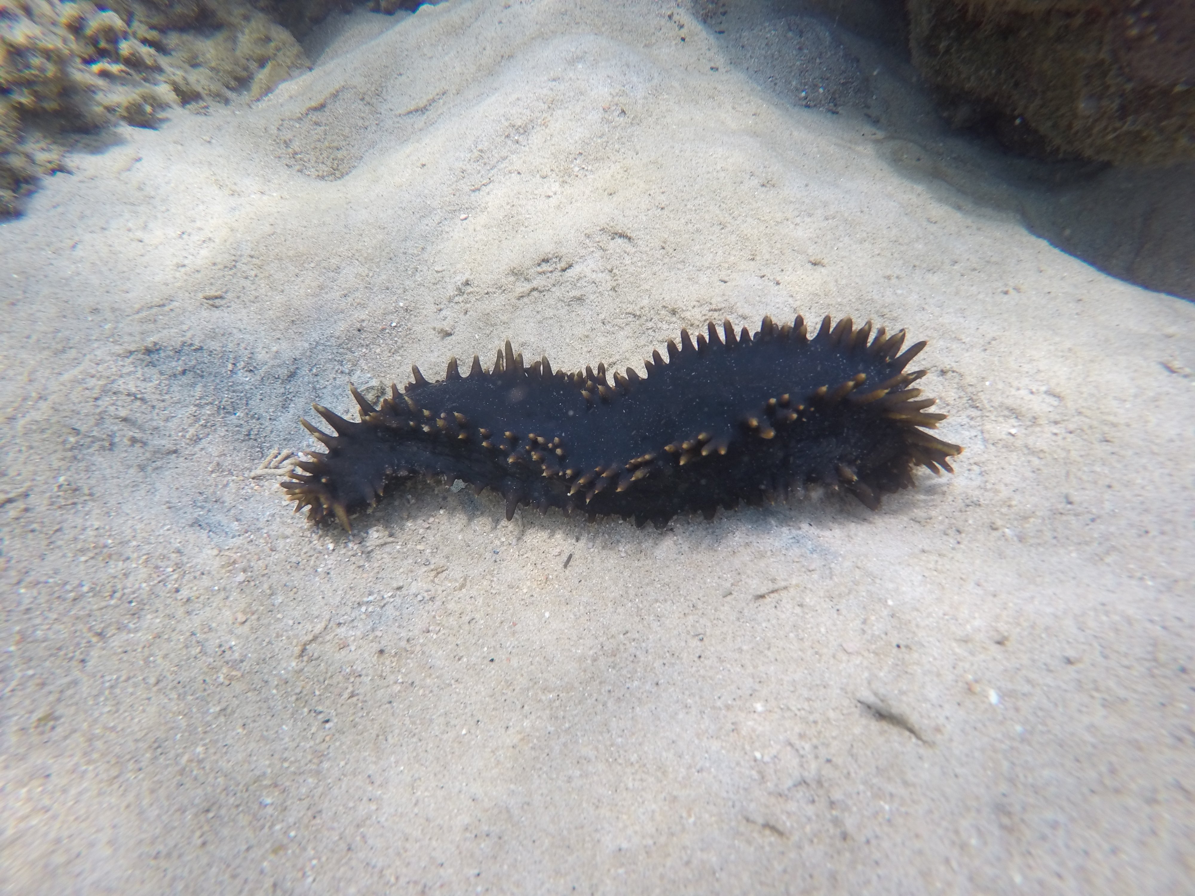 Angthong National Marine Park Speedboat Adventure from Koh Samui