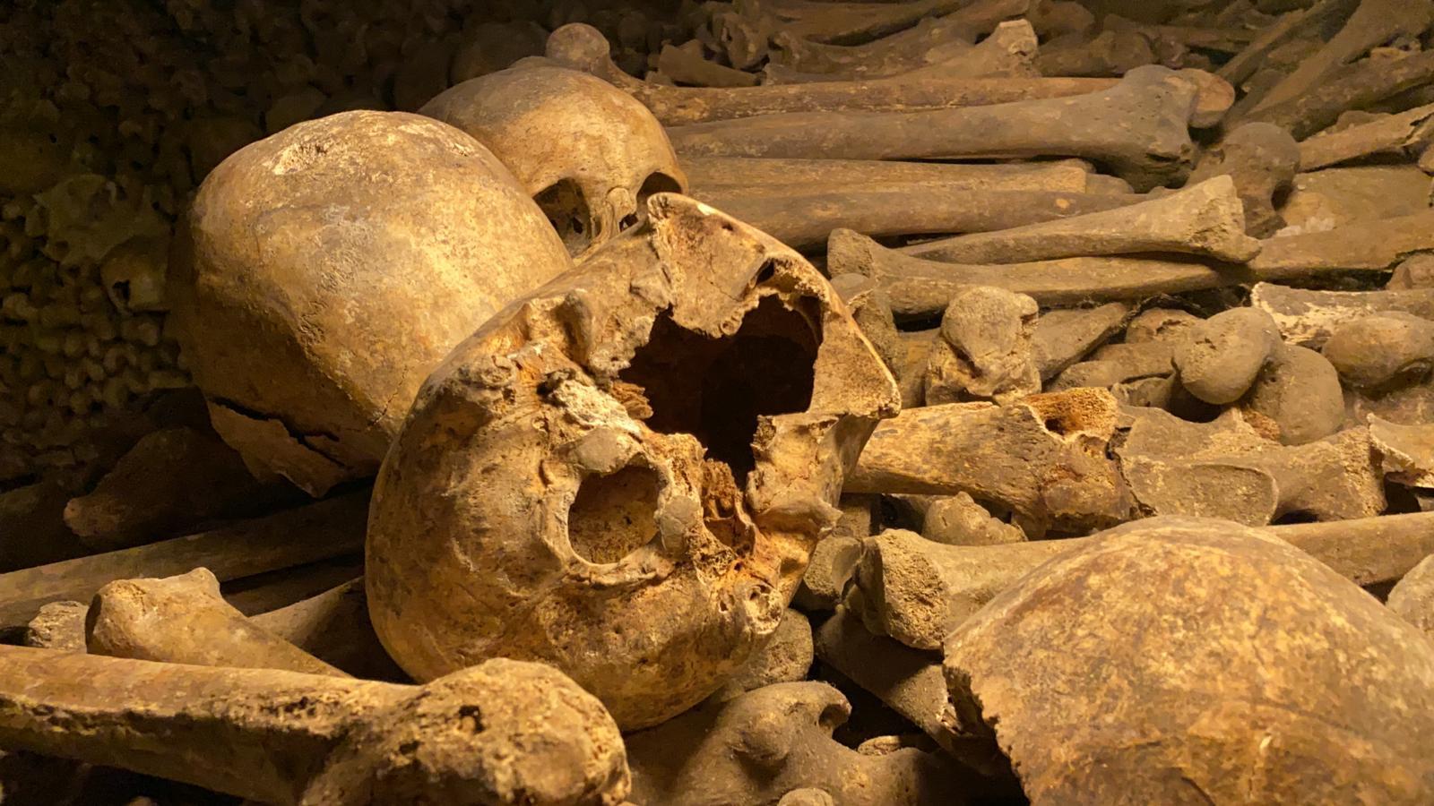 Paris Catacombs Small-Group Tour with Priority Access