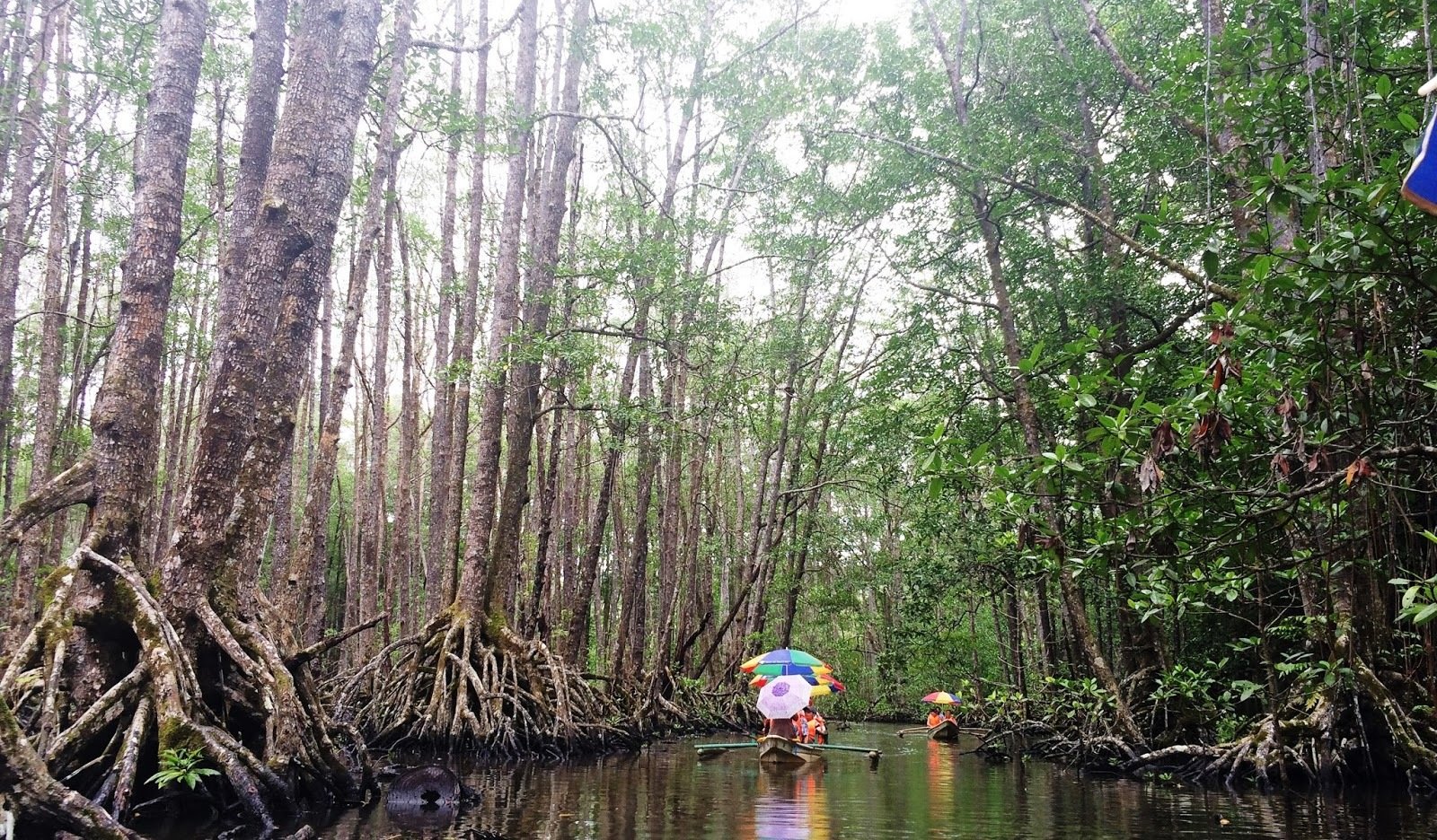 Puerto Princesa: Underground River, Zipline & Mangrove Paddleboat Tour