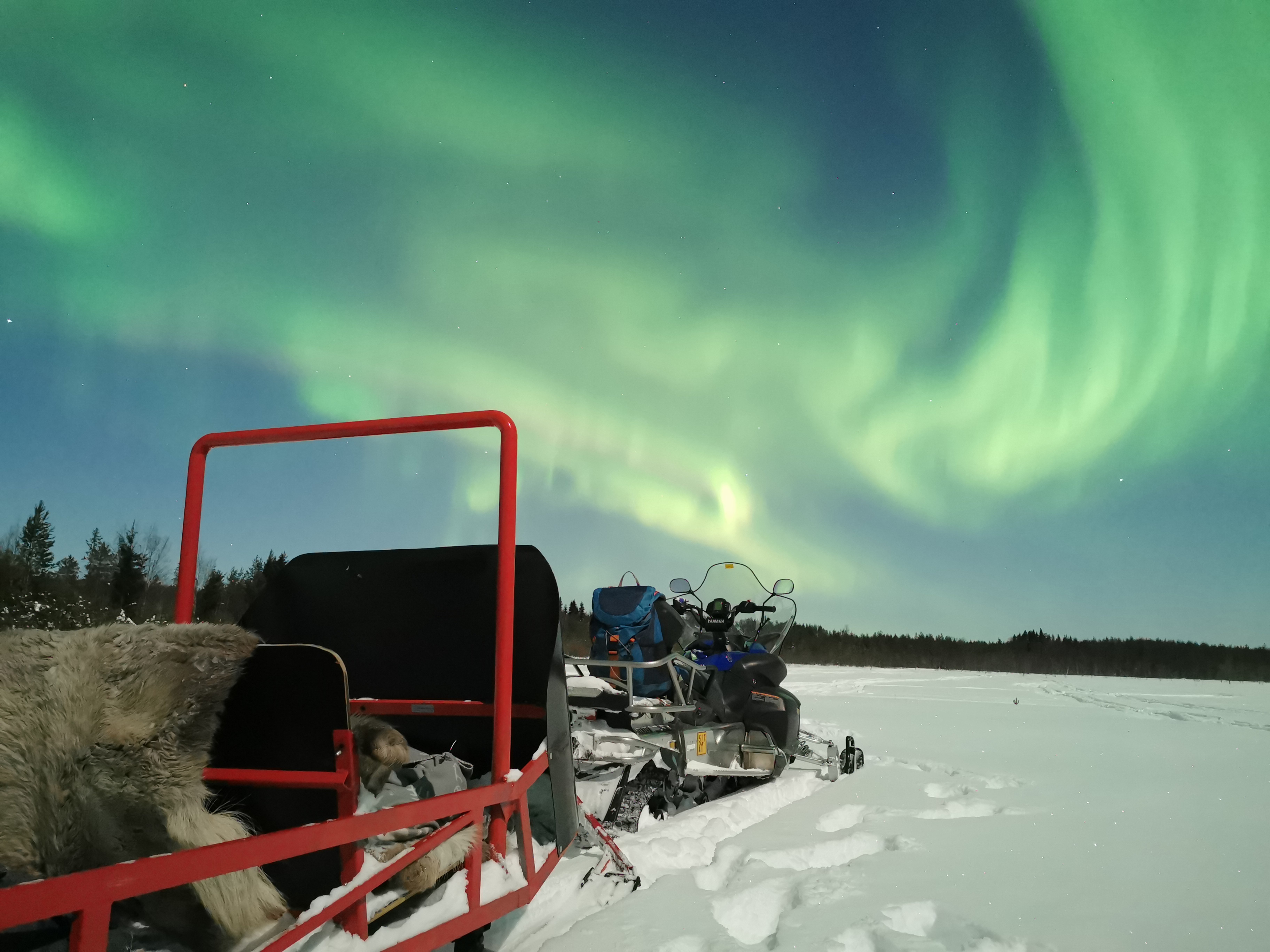 Rovaniemi Northern Lights Sledge Ride