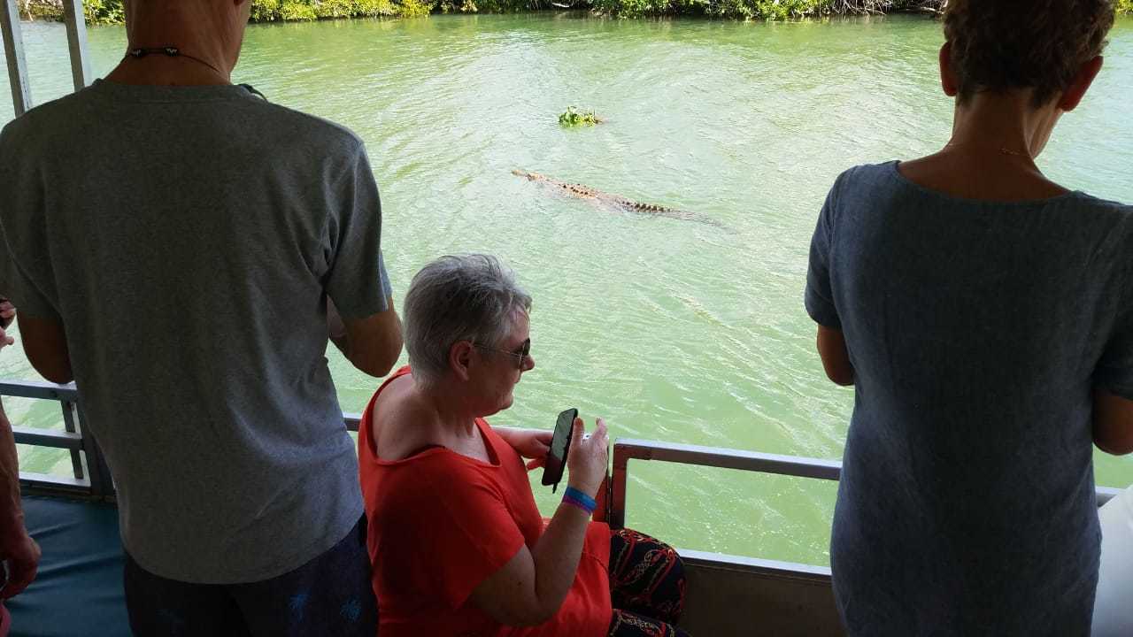 Jamaica South Coast: YS Falls & Black River Safari